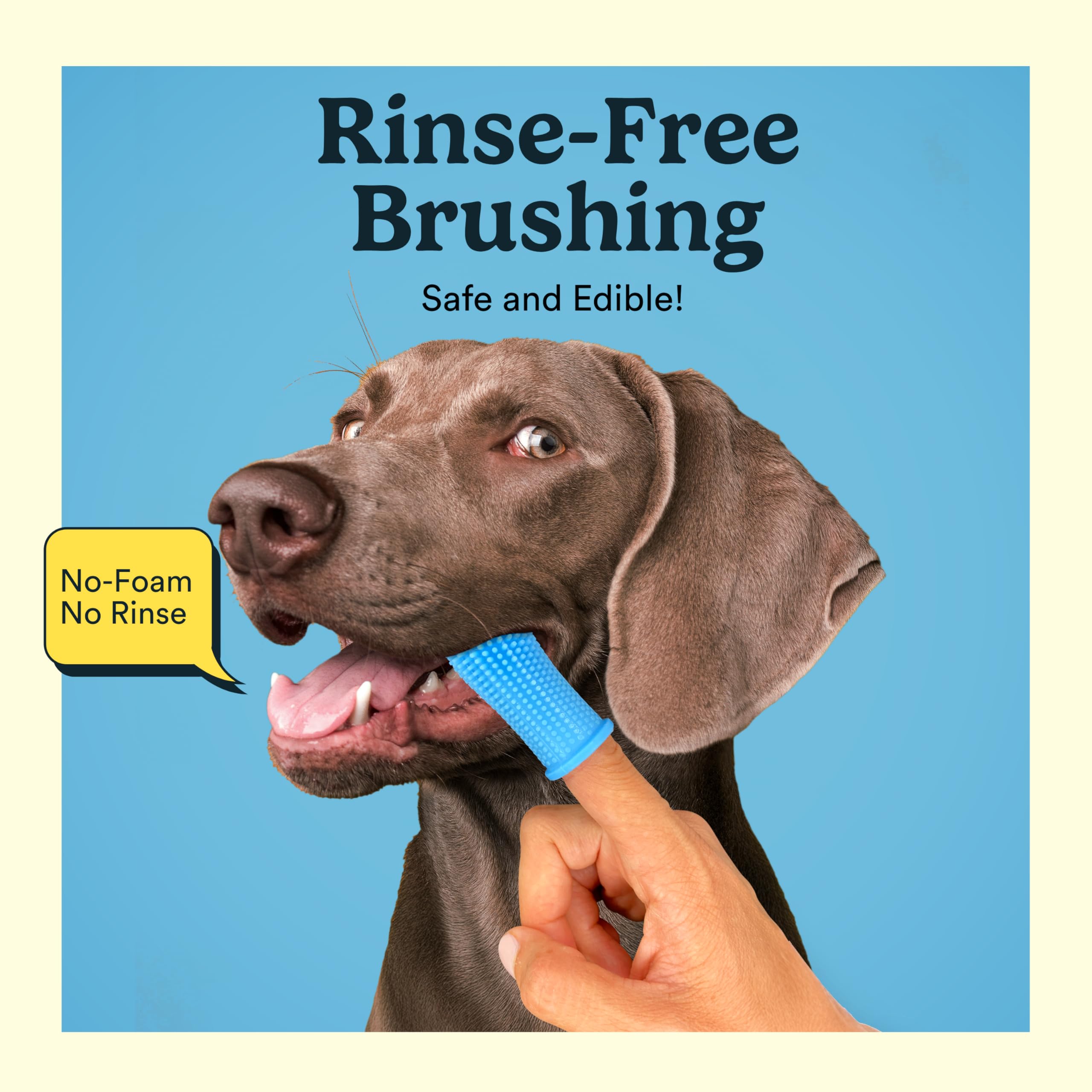 Jasper Dog Tooth Brushing Kit and Dog Toothpaste Kit with Dog Toothbrush Enzymatic, Plaque Remover Imporves Bad Breath Natural Pet Toothpaste Dog Toothbrush and Toothpaste 2 oz Bacon Flavor - image 8