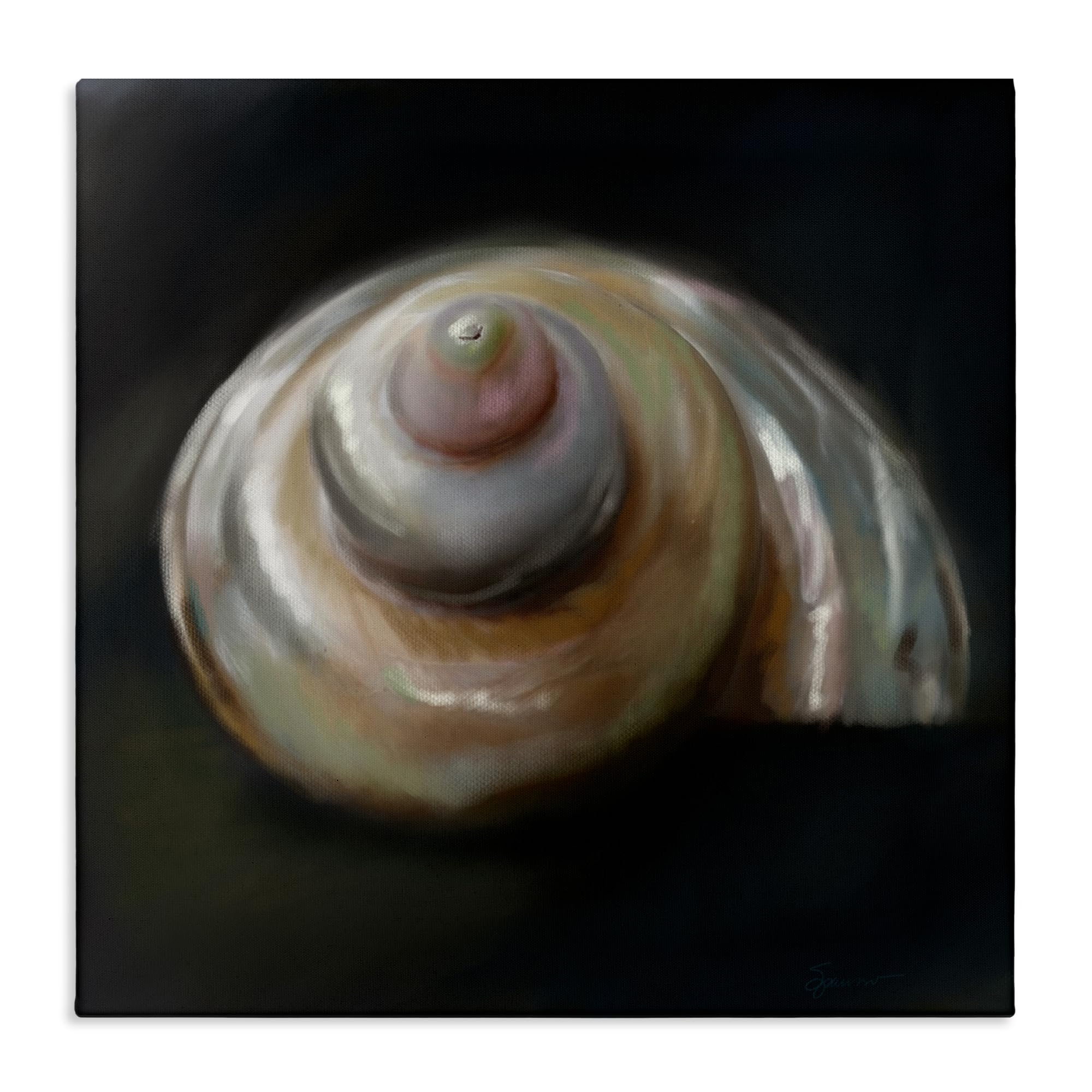 'Swirled Seashell Sea Treasure'| Canvas Art