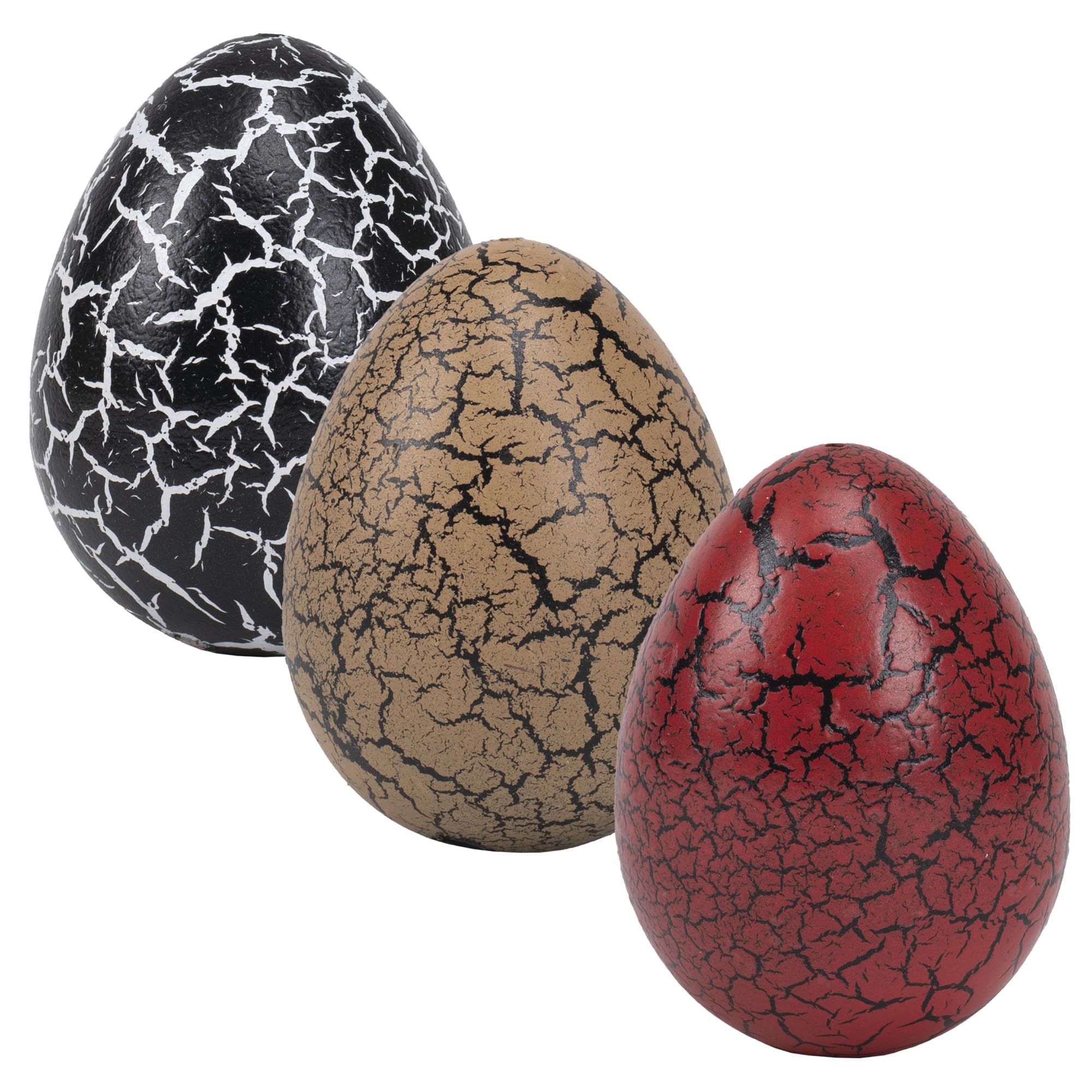 Amazon.com: Class Collections Surprise Growing Dragon Hatch