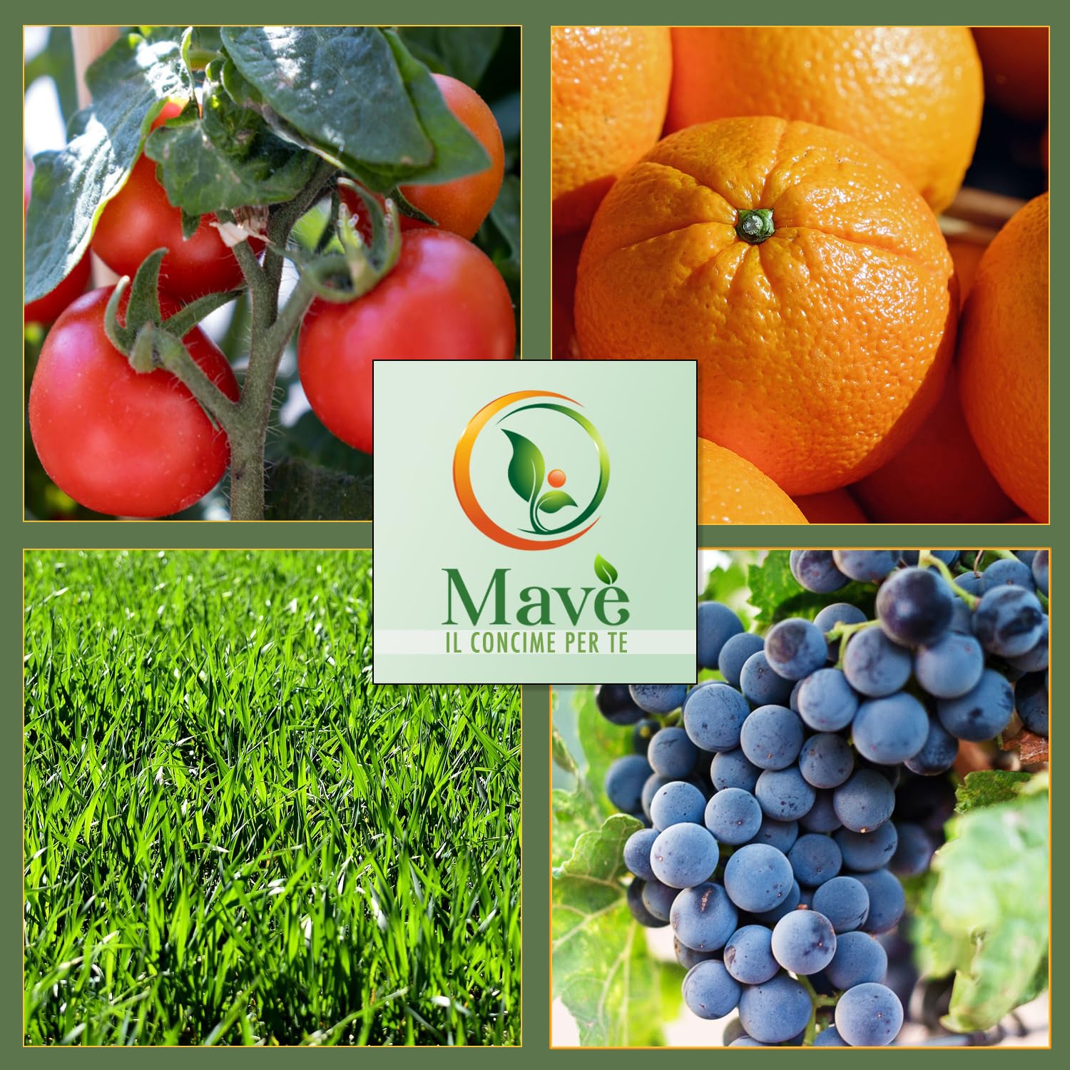 Borlanda fluida biologica 25,6 kg per piante - concime biologico per alberi, orto, frutta - Mavè crescita e maturazione bio