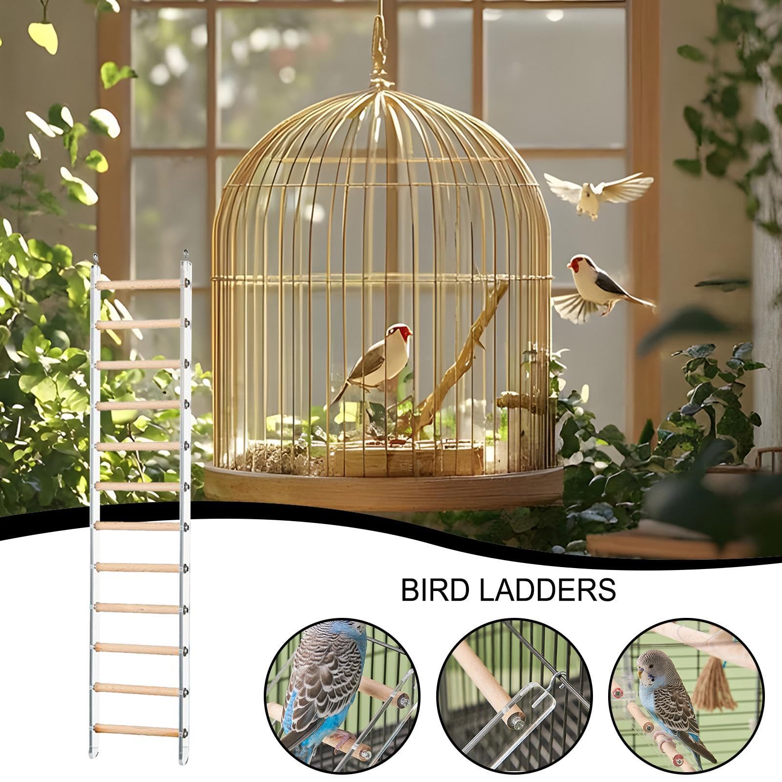 Échelle de Perroquet, échelle de Perruche | Étape Perche pour la Cage - Échelle d'oiseau avec Crochet Rotatif à 360 ° pour perroquets parakets à pochets à Poche