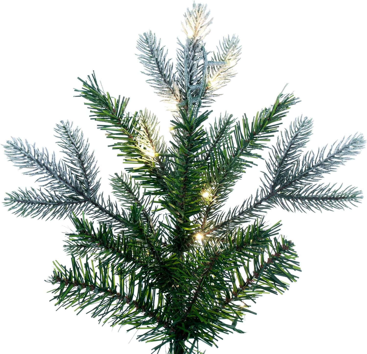 Vickerman 5.5' x 36" Frosted Douglas Fir Artificial Pre-Lit Christmas Tree, Warm White 3mm LED Lights