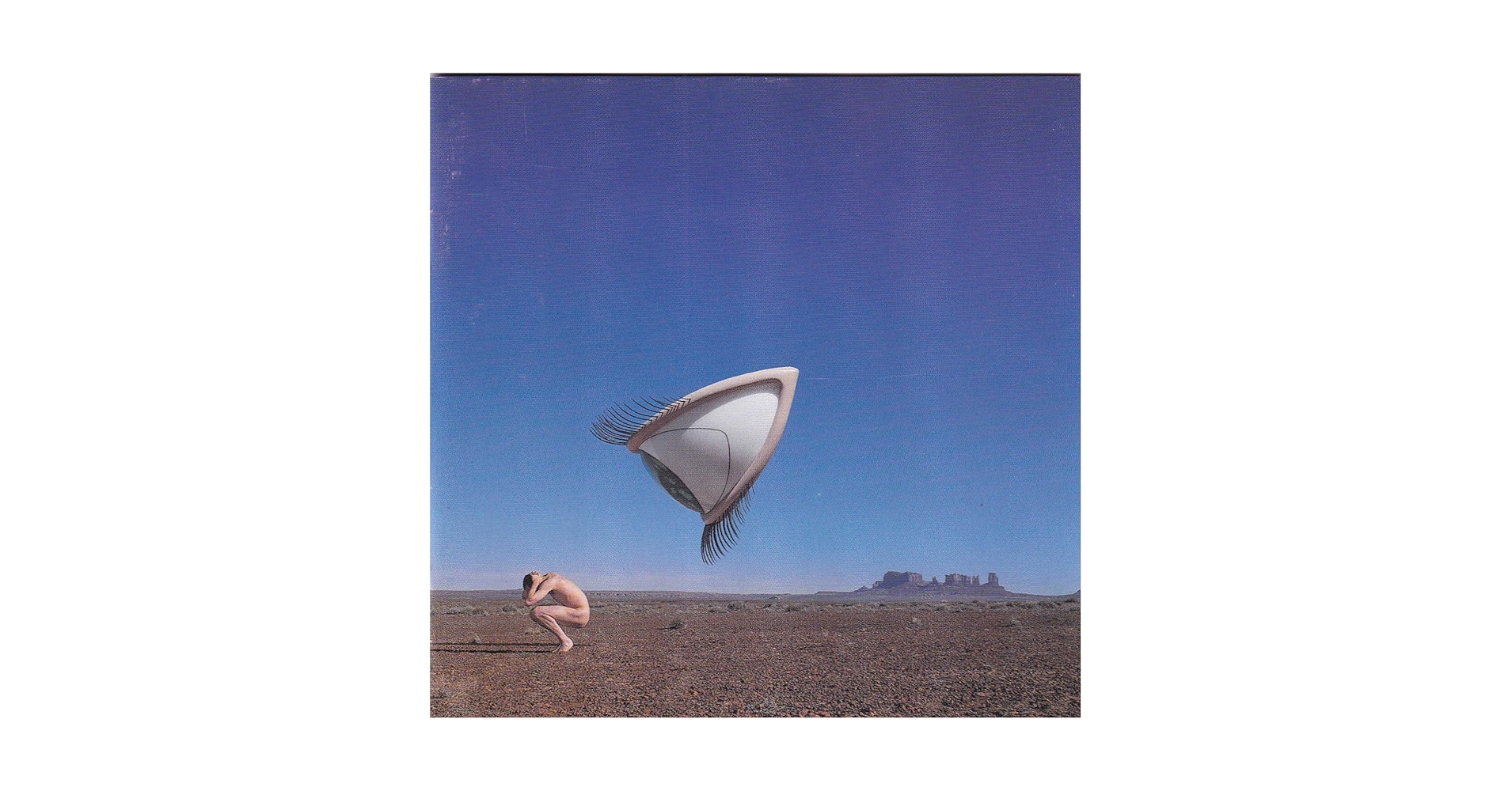 Cranberries Bury The Hatchet 1999EU盤2LP The Cranberries - Bury The Hatchet (The Complete Sessions