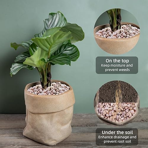 Miniatura 3 de Arena 100% natural, mini arena de sílice blanca multiusos para hogueras, acuarios y paisajismo, 5 libras