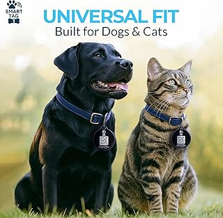 Smart Tag One™ by Sky Peak – Smart Pet ID Tag – NFC + QR Code | Lost Pet Alerts, No Batteries, No Subscription | Waterproof & Durable for Dogs & Cats