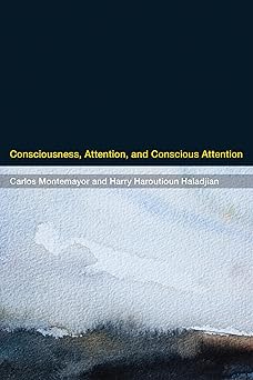 Consciousness, Attention, and Conscious Attention-Wow! eBook