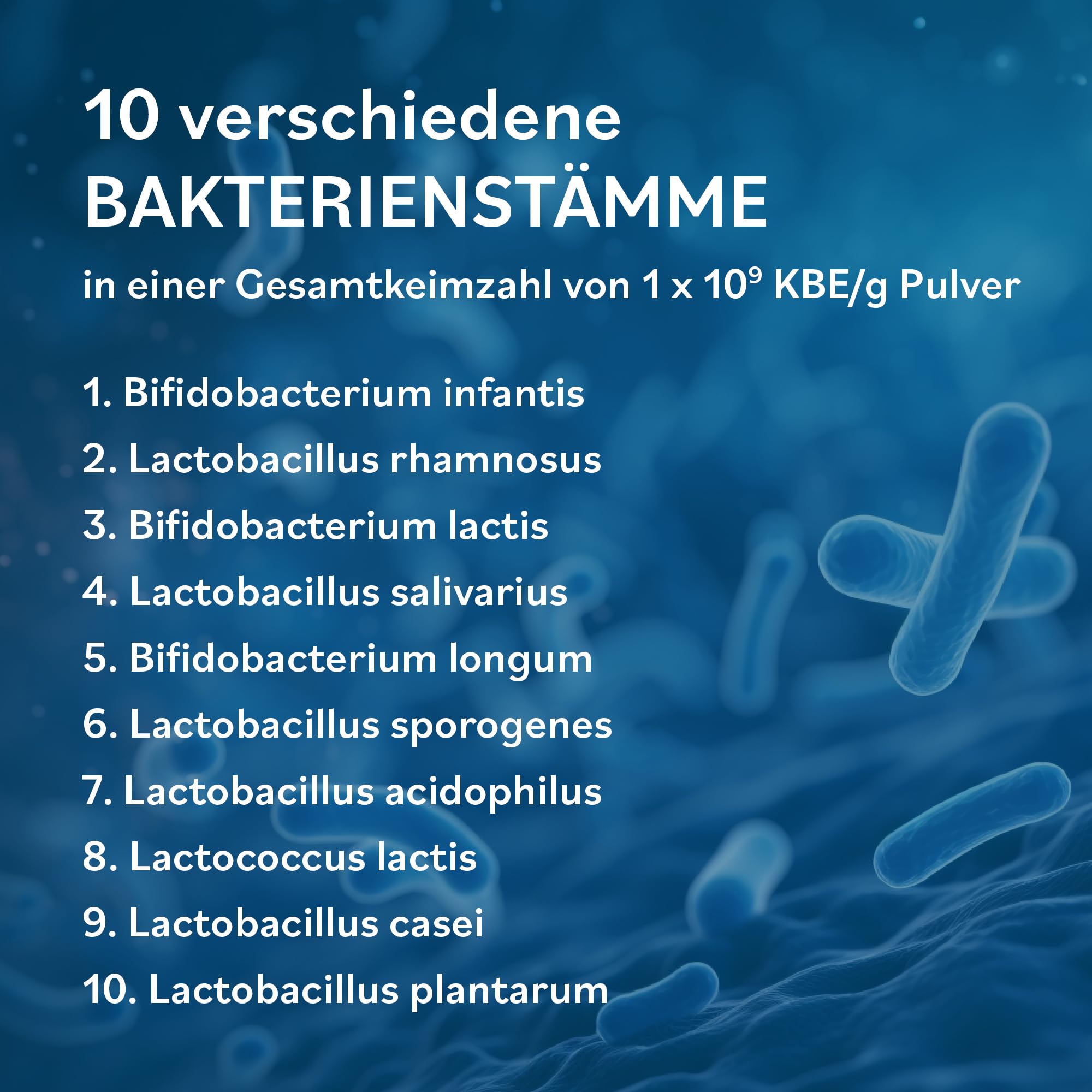 JAB Probiotik - Nahrungsergänzung mit 10 Bakterienkulturen - 60 g Pulver
