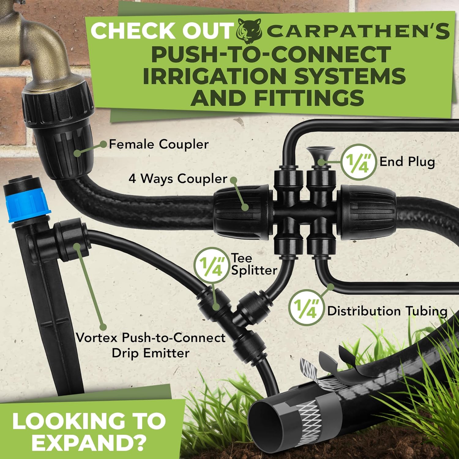 Carpathen 50 FT 1/2 Irrigation Tubing Mainline - Drip Irrigation Tubing Perfect for Push-To-Connect Garden Irrigation System, or as Blank Distribution Hose for Any Gardening Project