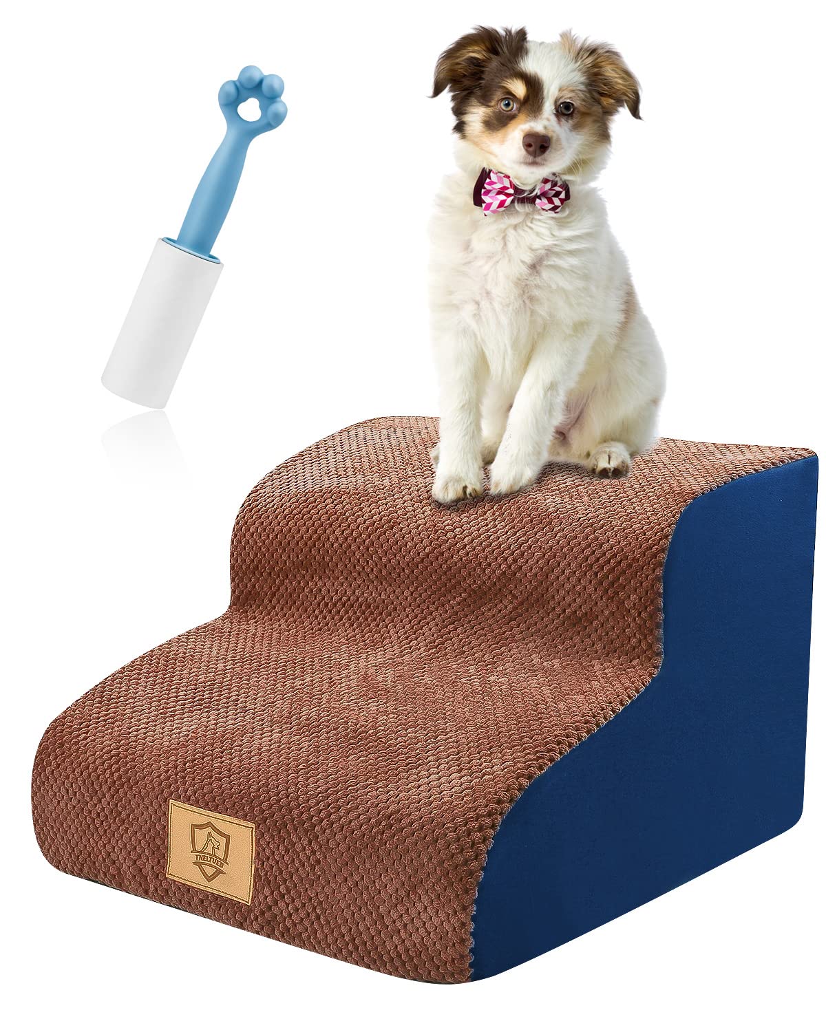 How Do I Teach My Dog To Use Stairs