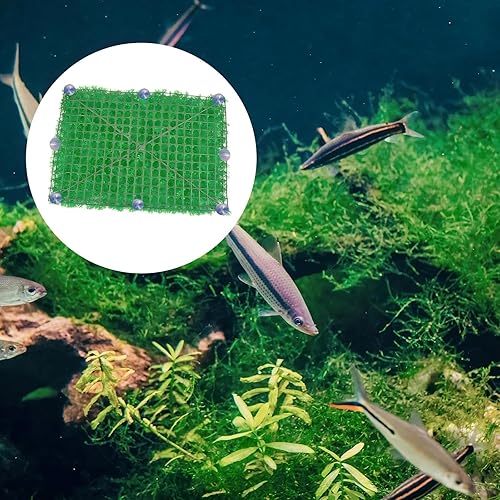 30 Pcs Suction Cups with 50 Pcs Adjustable Zip Ties 25mm & 35mm Aquarium Suction Cups Rubber Sucker Pad for Home Garden Fish Tank Tubing Binding Moss Shrimp Nest Decorations