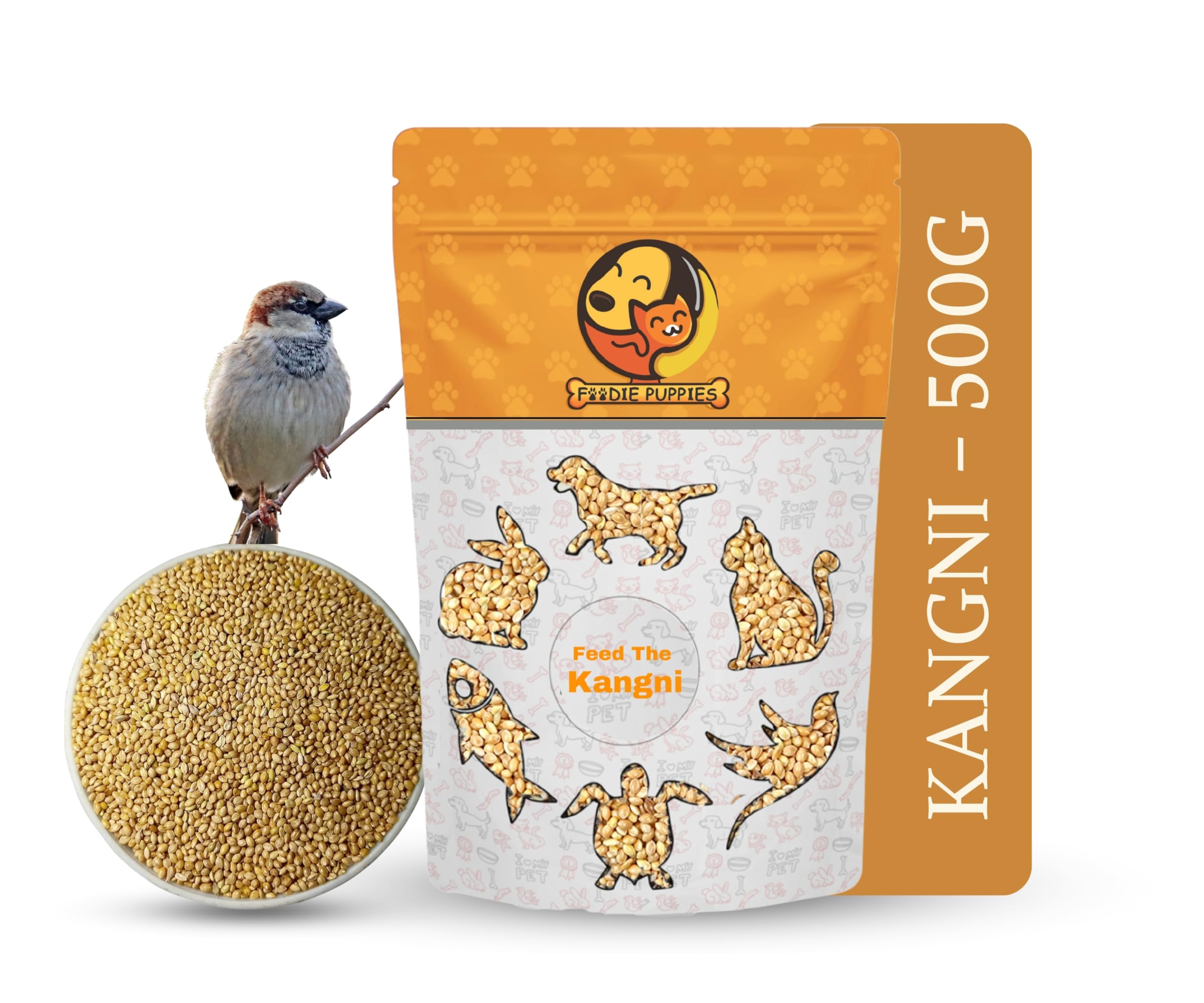 Foodie Puppies Foxtail Millet Kangni Seeds Bird Food - (500gm, Pouch), High-Fiber Balanced Nutritious Daily Diet for All Bird Types (B0D89TV4TW) Amazon Price History, Amazon Price Tracker