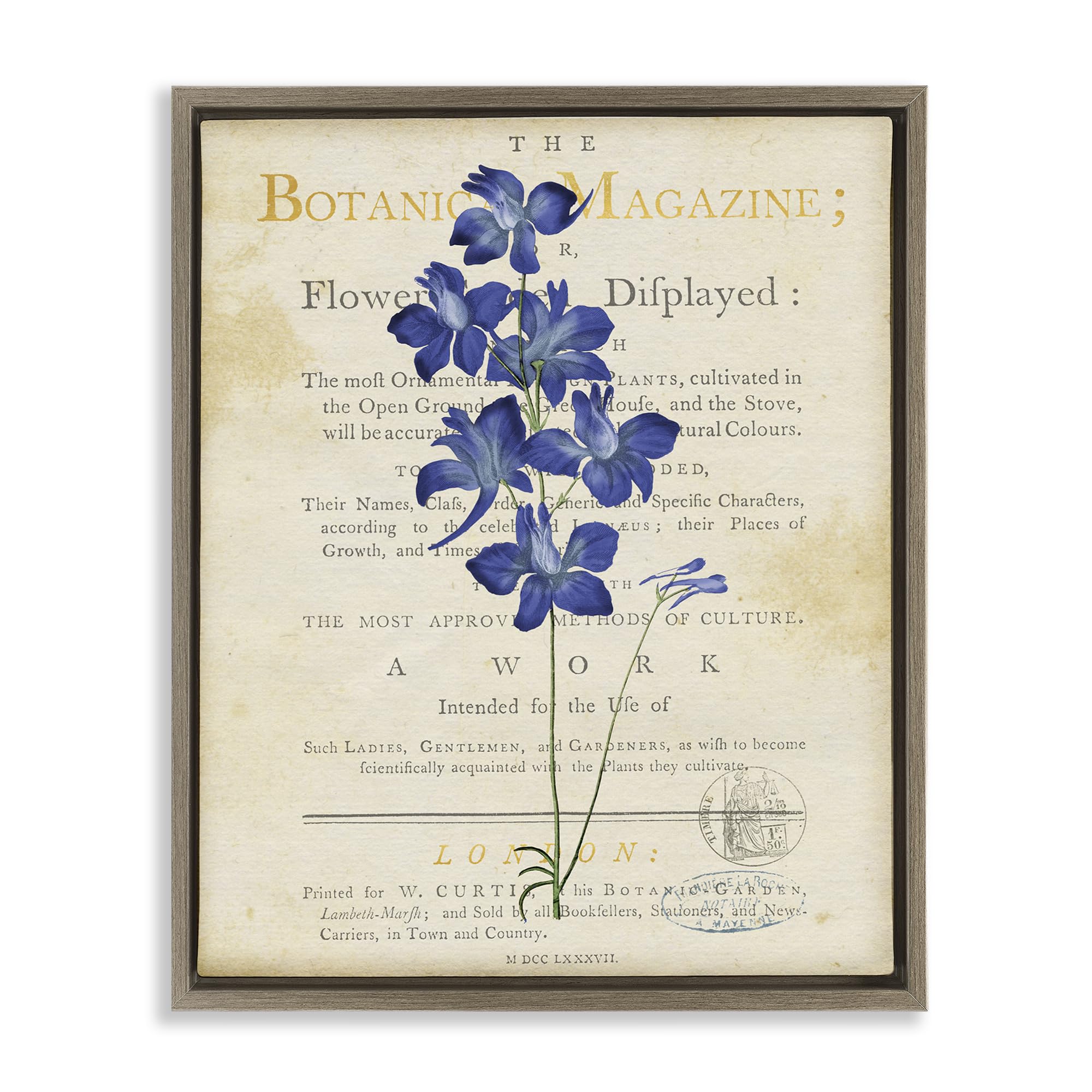 Stupell Industries 'Natural Botanic Garden Flower', Floating Frame Canvas Art, Brown, 17 x 21 Inches, Easy to Hang and Sturdy, Made in USA, by Susan Arnot