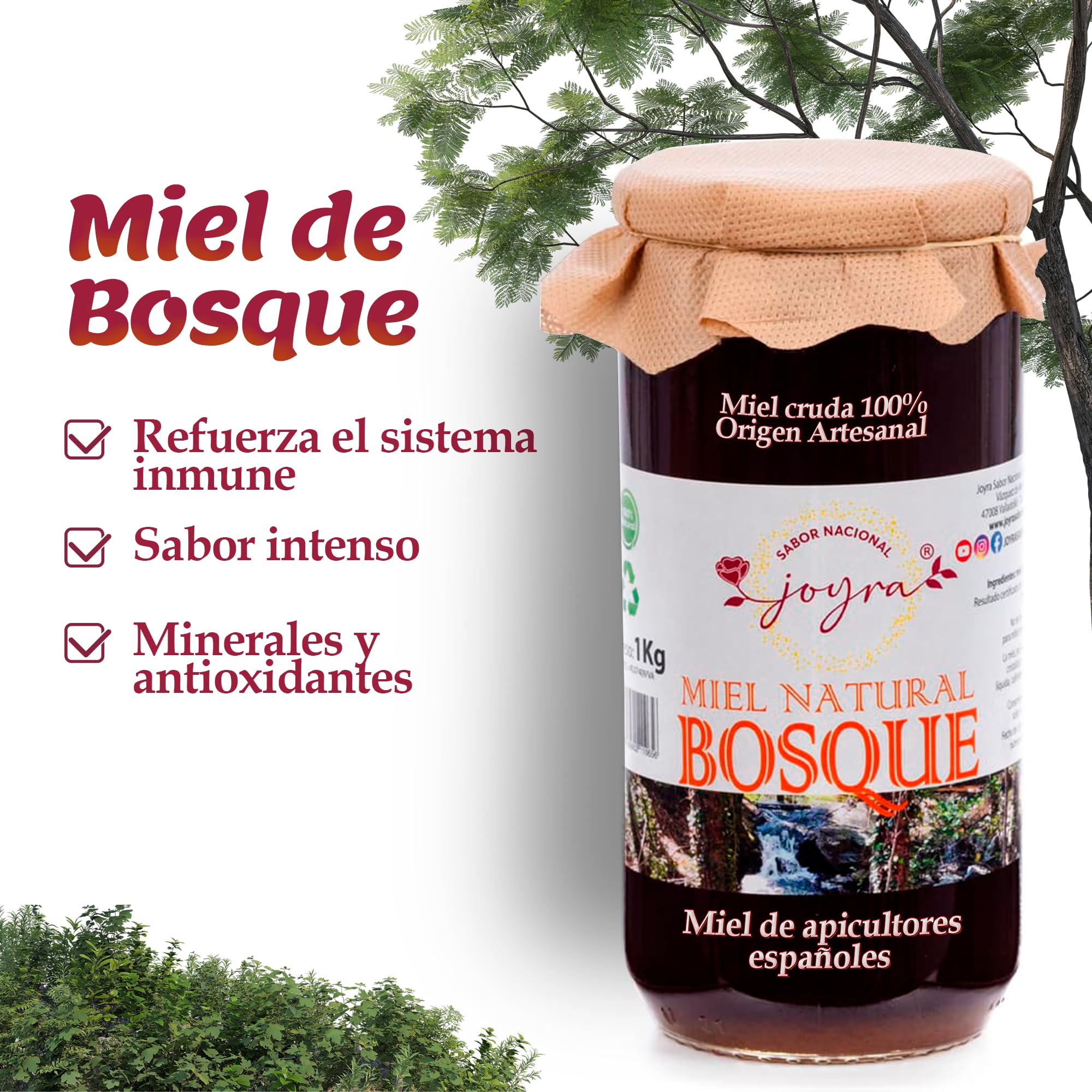 Miel Cruda 100% Pura de Abeja Natural Artesanal 27 Variedades Sabores Apicultura Española Sin Pasteurizar 1 kg Miel de Bosque