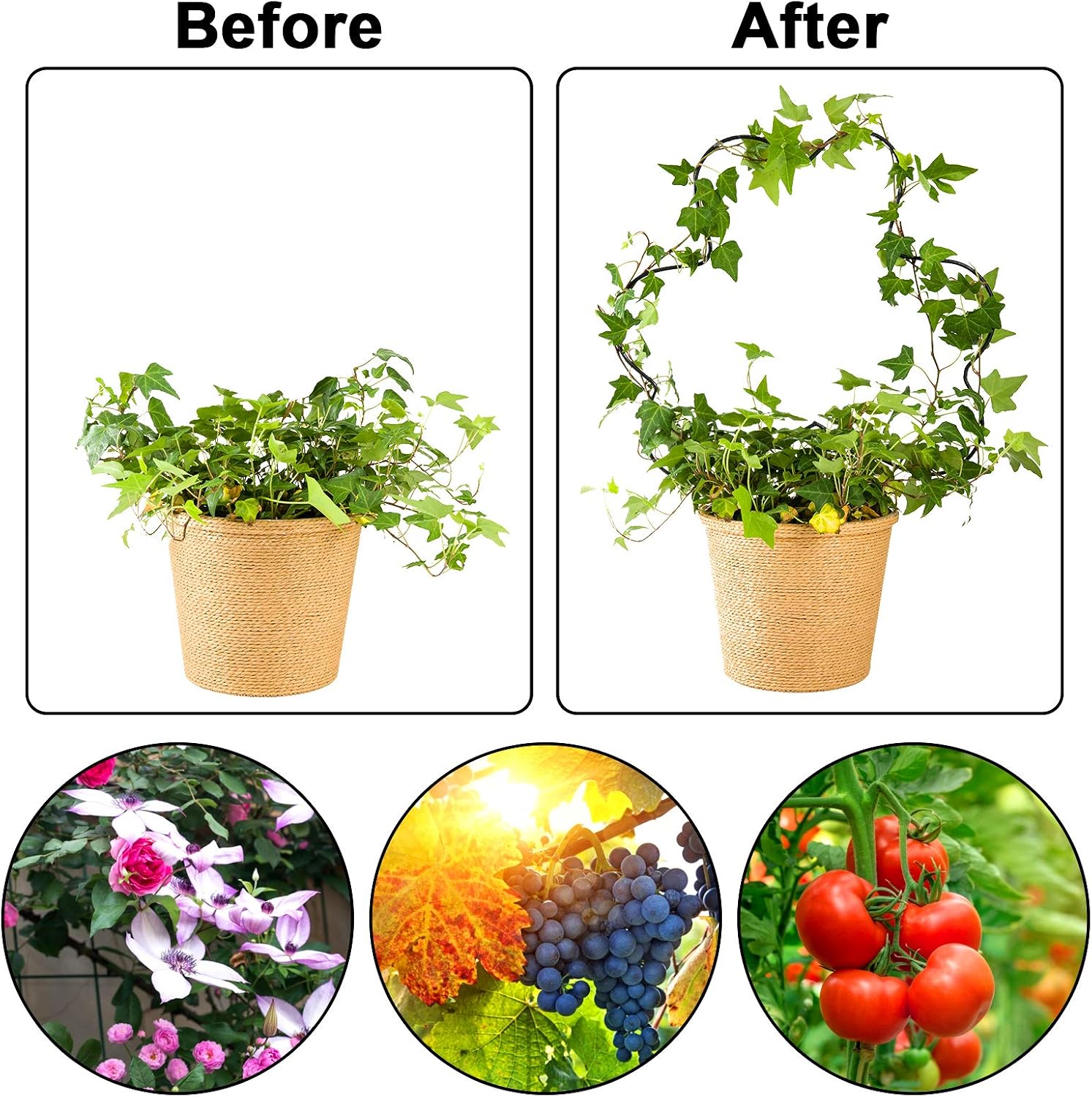 Apipi 2 Pack Iron Garden Trellis for Climbing Plants- Rust Free Vine Plant Metal Support Wire with Black Coating Decorative Panels for Garden Potted Climbing Stems Stalks Vines (Clover)