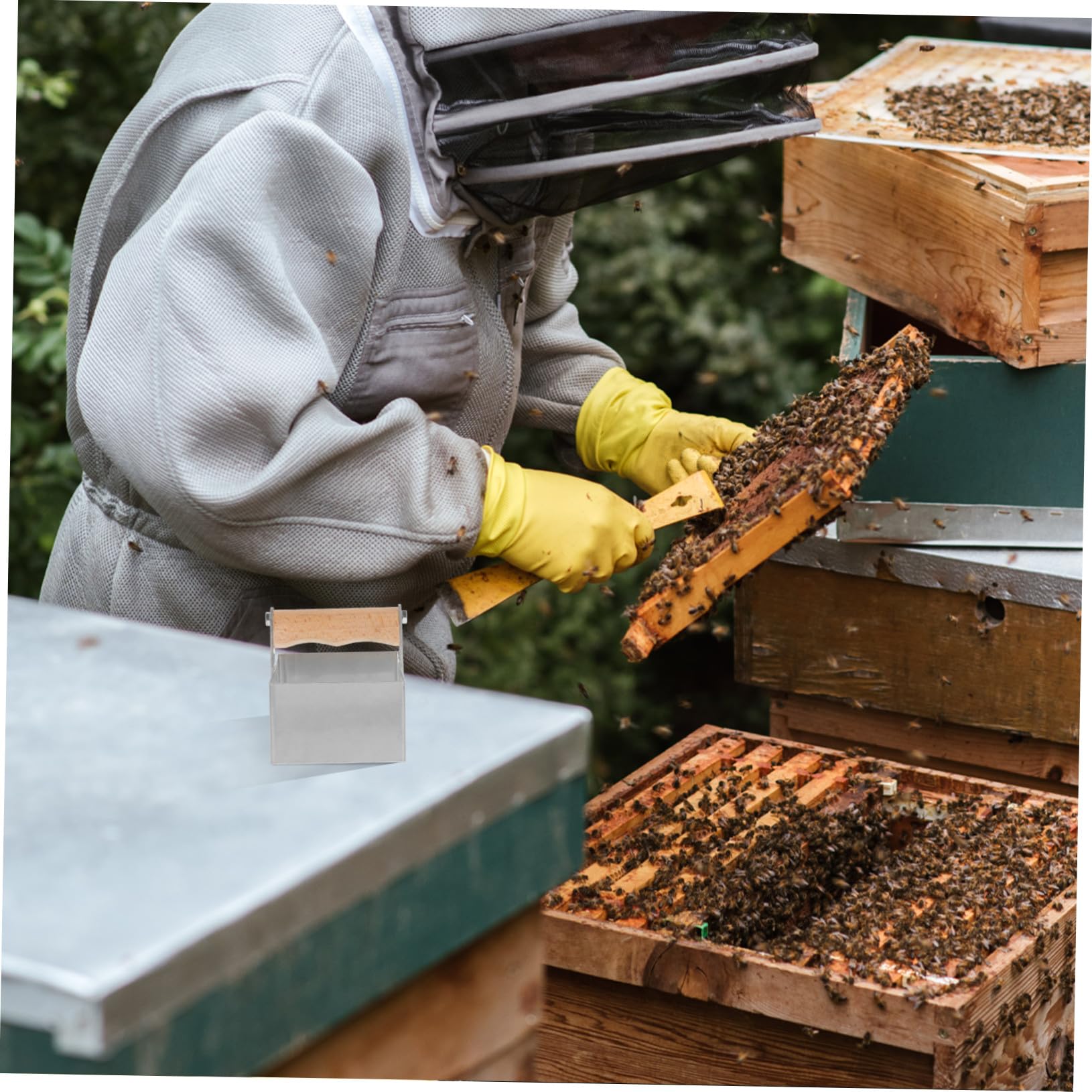 SEWACC Honigschneider Rechteckiger mit Komfortablem Griff aus Edelstahl Imker Honigschneidwerkzeug für Präzises Schneiden von Wabenhonig im Bienenstock