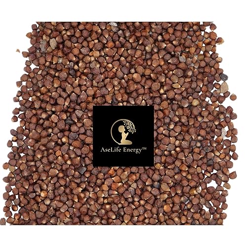 AseLife Energy Grains of Paradise Spice 2 oz Melegueta Pepper Ginny Grains Mbongo Spice Hepper, Pimienta Guinea Pimienta Premium Orgánica Sin OMG