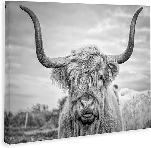 Miniatura 3 de Stupell Industries HOME - Lienzo decorativo para pared, diseño de vaca de las tierras altas en blanco y negro, 30 x 40, multicolor, sala de estar
