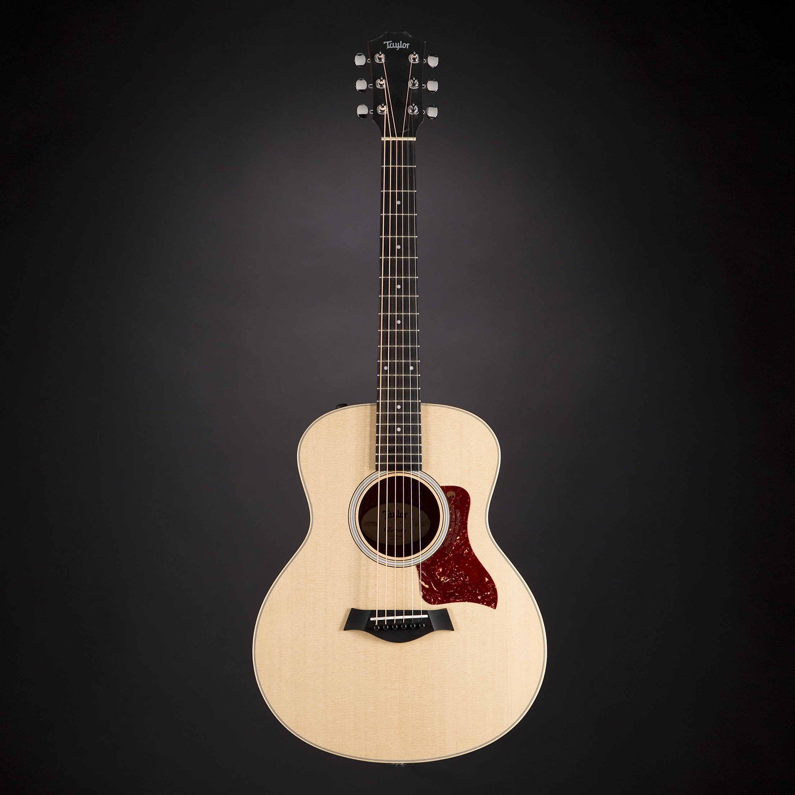 Taylor GS, Chitarra acustica, Mini