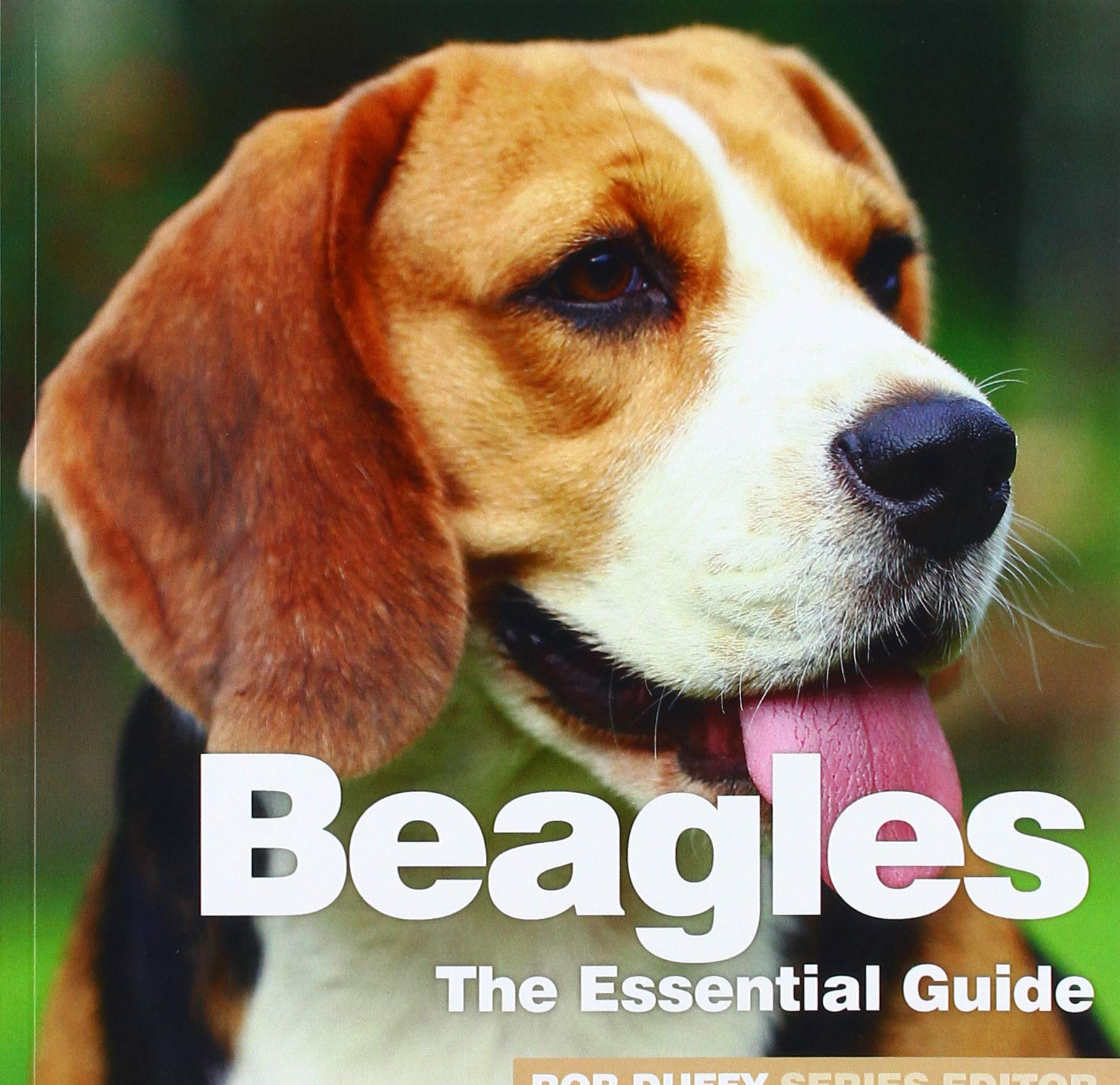 BEAGLES (NEED2KNOW ESSENTIAL GUIDES)
