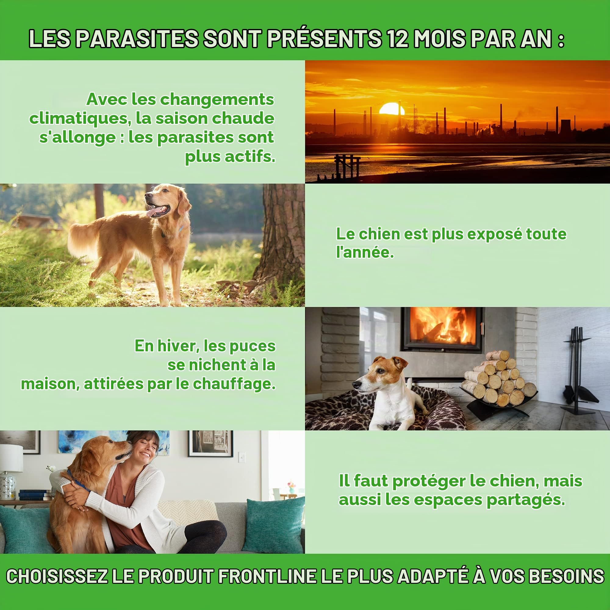 FRONTLINE COMBO CHIEN 40 60 KG ANTI-PUCES ET TIQUES