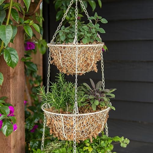 Miniatura 16 de SuperMoss - Musgo seco para orquídea sphagnum seco