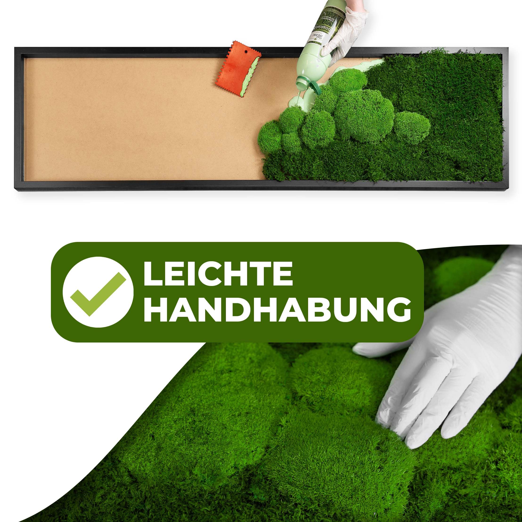 Moosbild DIY versch. Größen (Fifty Fifty Design, Holzrahmen: schwarz, 55 x 55 cm)