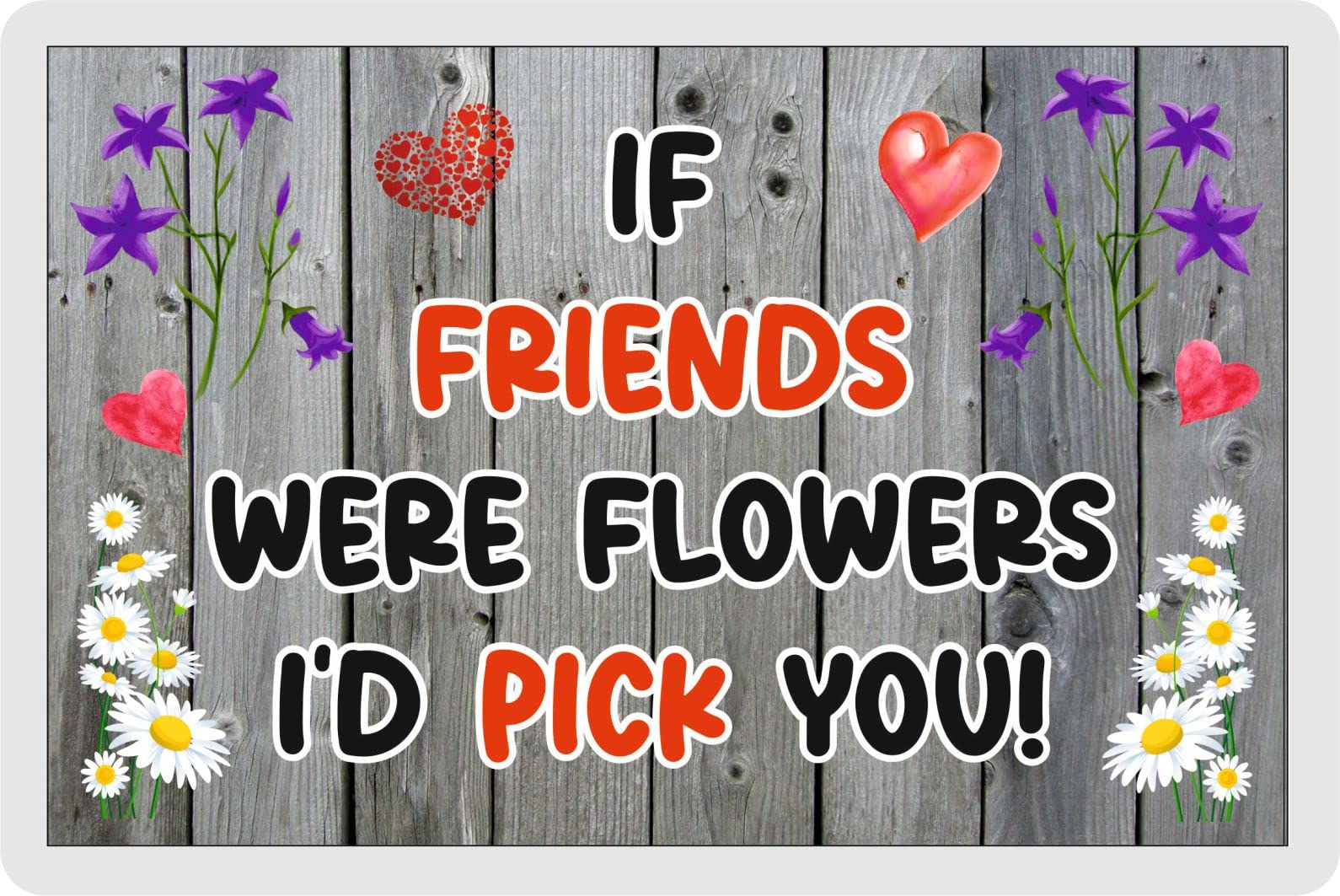 Decalarama Friend Fridge Magnet – If Friends Were Flowers I'd Pick You – Fun Family Novelty Birthday Gift