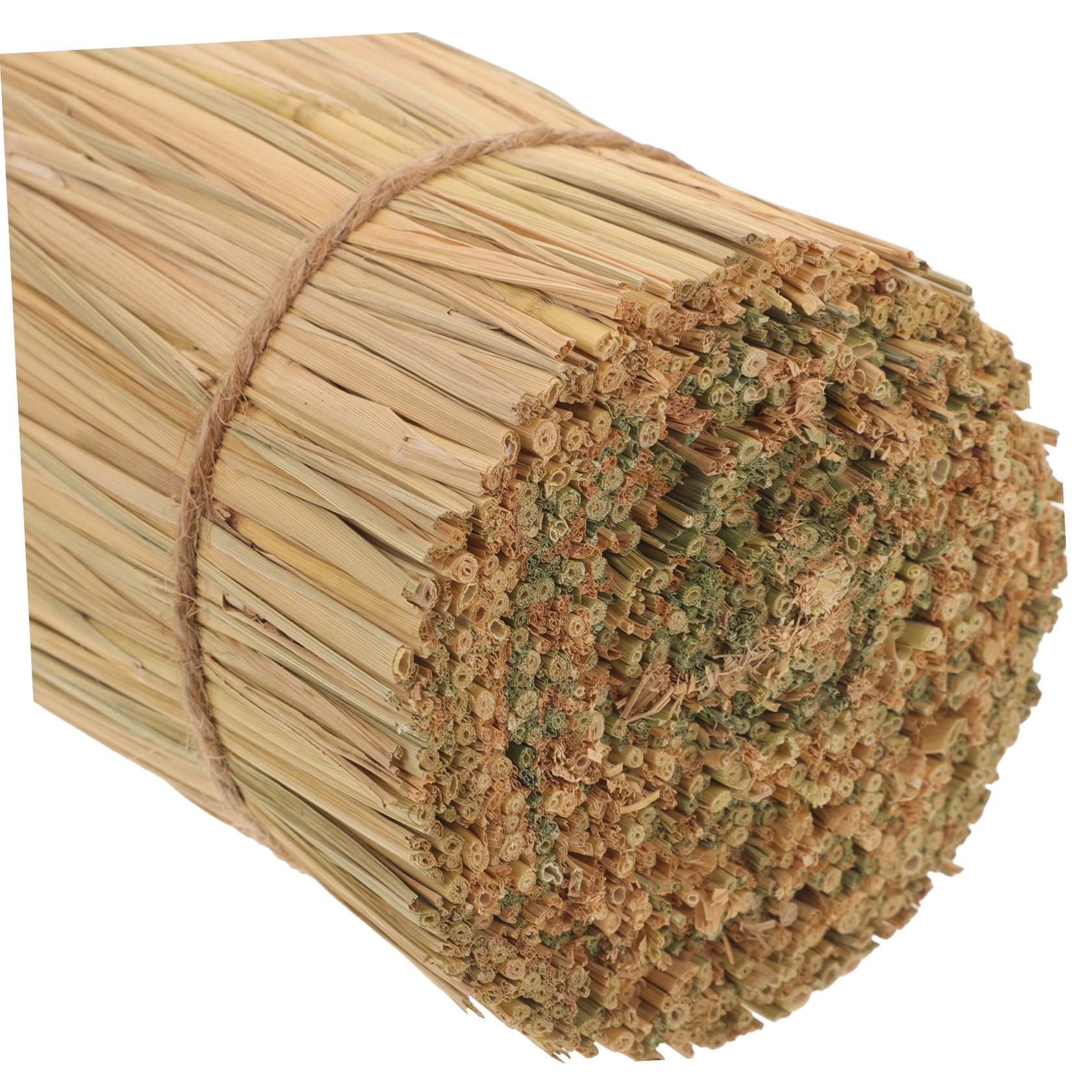 SOLUSTRE Lolly Ständer und Gras Stabil Leicht zu Reinigen gegen Schwingen für Dessert Mittelstück und Candy Riegel Hochzeit