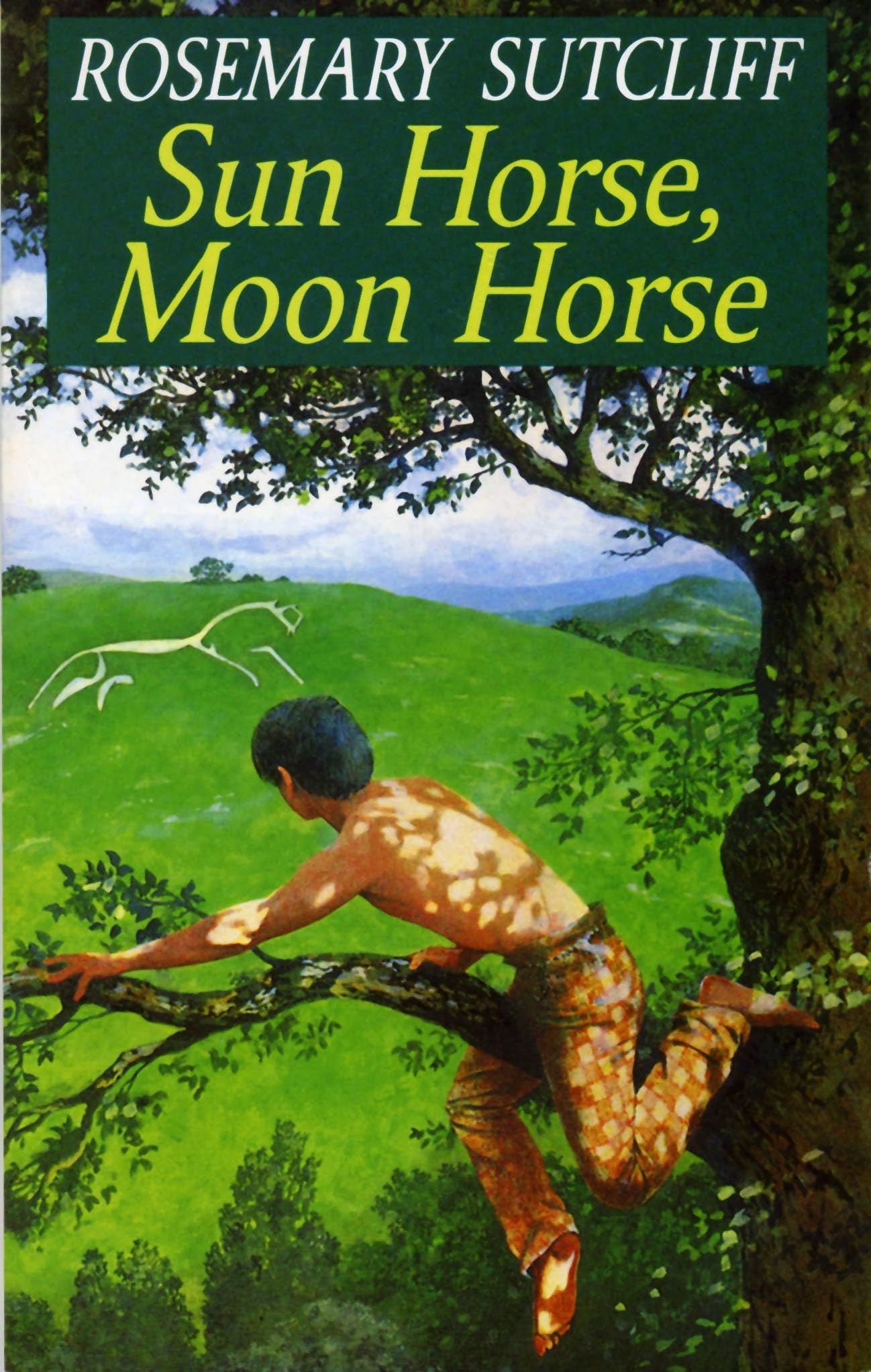 Sun Horse, Moon Horse by Rosemary Sutcliff (Paperback, 1991)