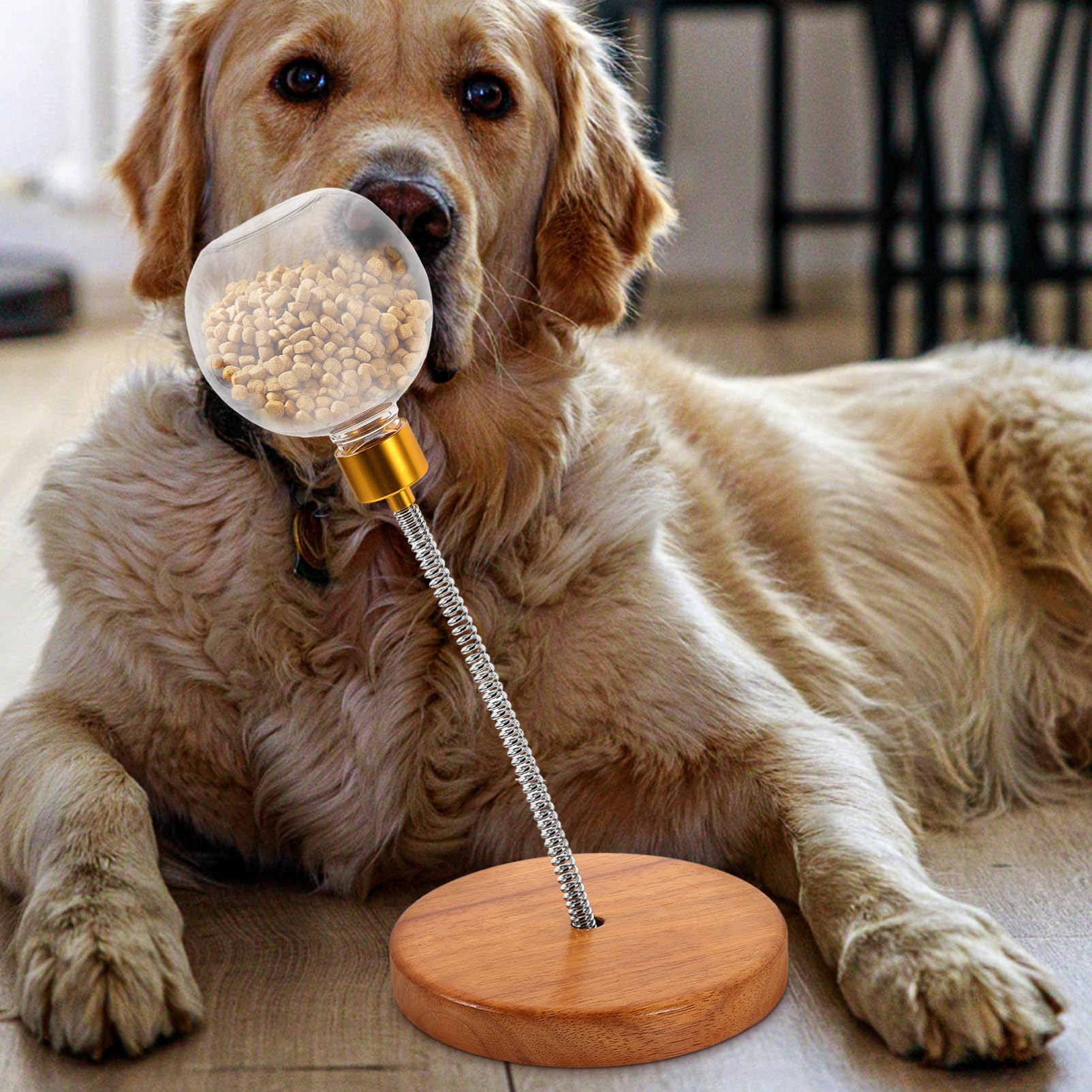 Snackball für Hunde als Interaktives Hundespielzeug mit Hundeleckerli Spender aus Kunststoff und Edelstahl zur Stressreduktion und Hundeerziehung für Große und Mittelgroße Hunde