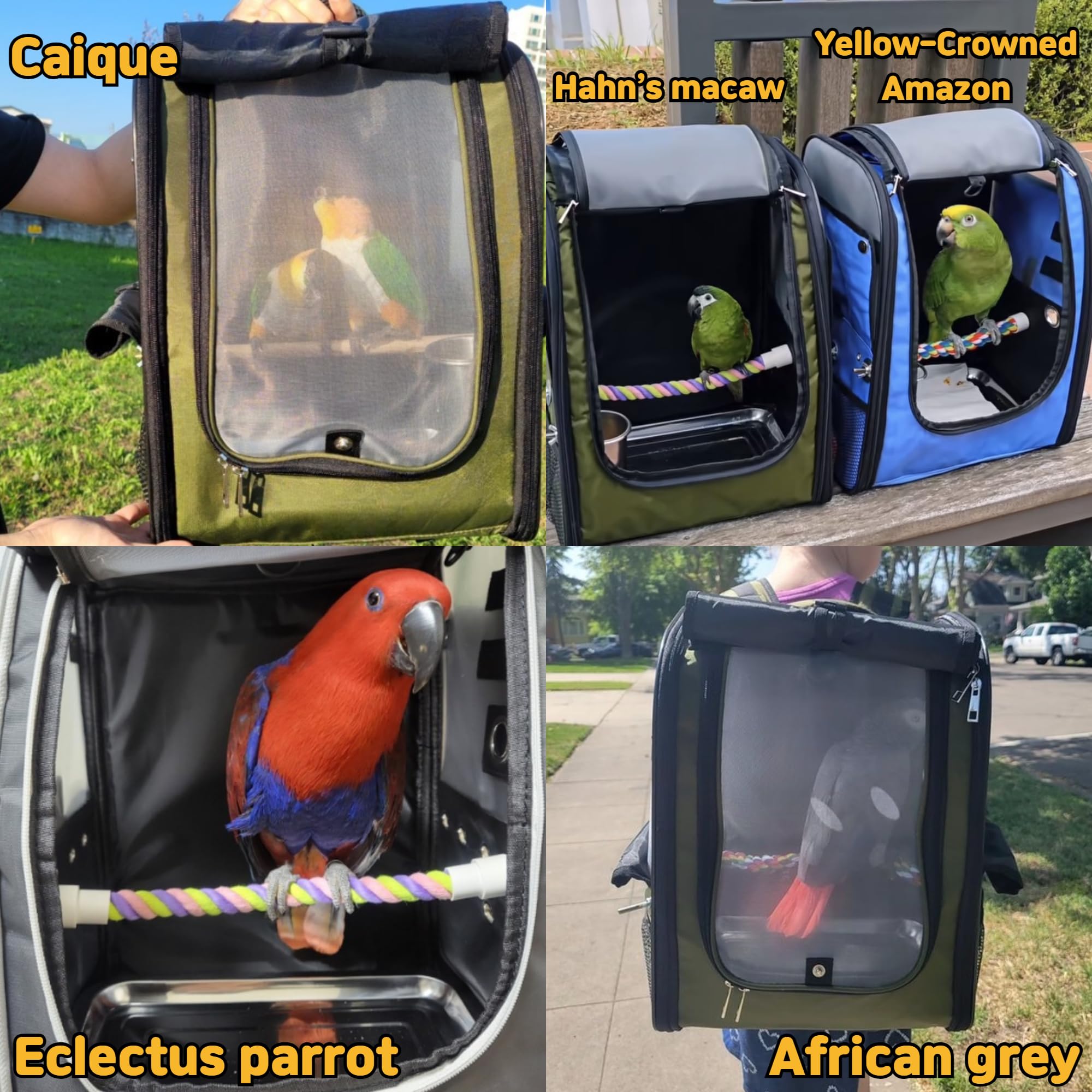 Birds Day Vogeltragerrucksack, Papageien-Reisekäfig mit 2 Sitzstangen und Futternapf, Edelstahl-Tablett (Anthrazitgrau)