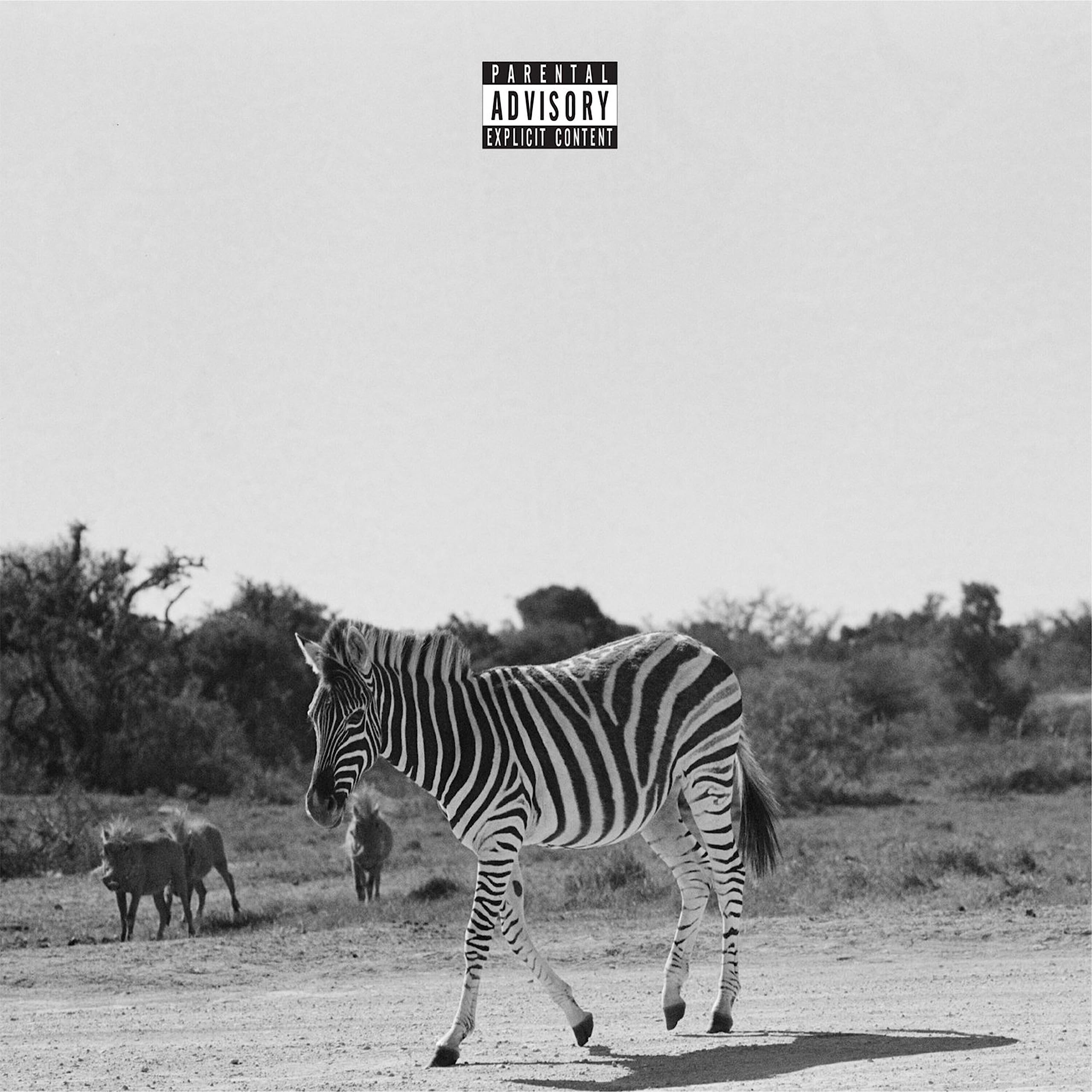 Louis VI | Earthling | 2Vinyl LP - Black