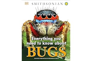 Everything You Need to Know About Bugs