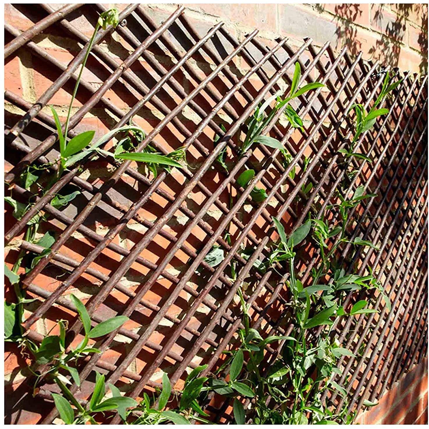 Buy Z&Q BROS LTD Fabulous Garden Decorative Feature Expanding Willow Trellis Screening Fences