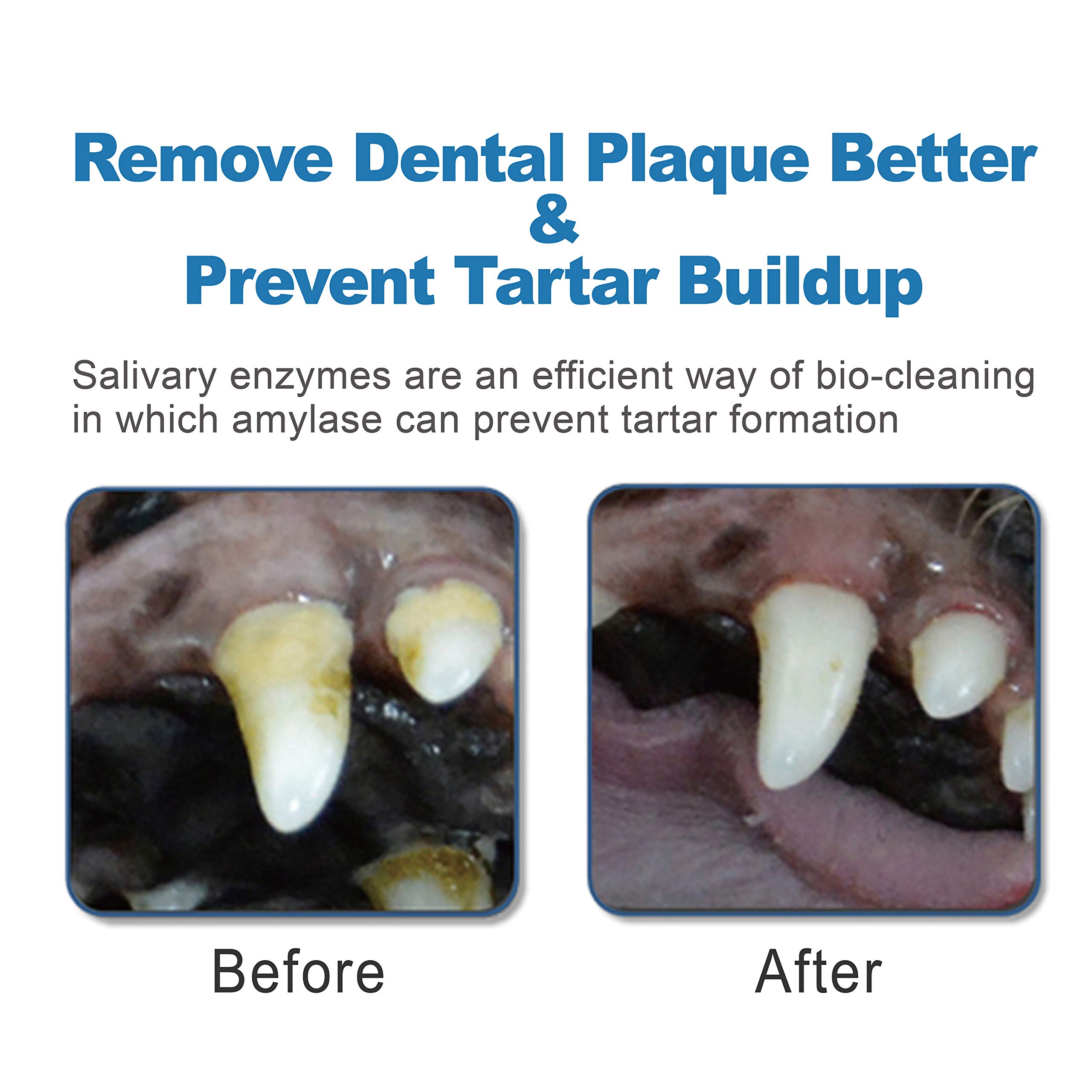 dog enzyme teeth cleaner