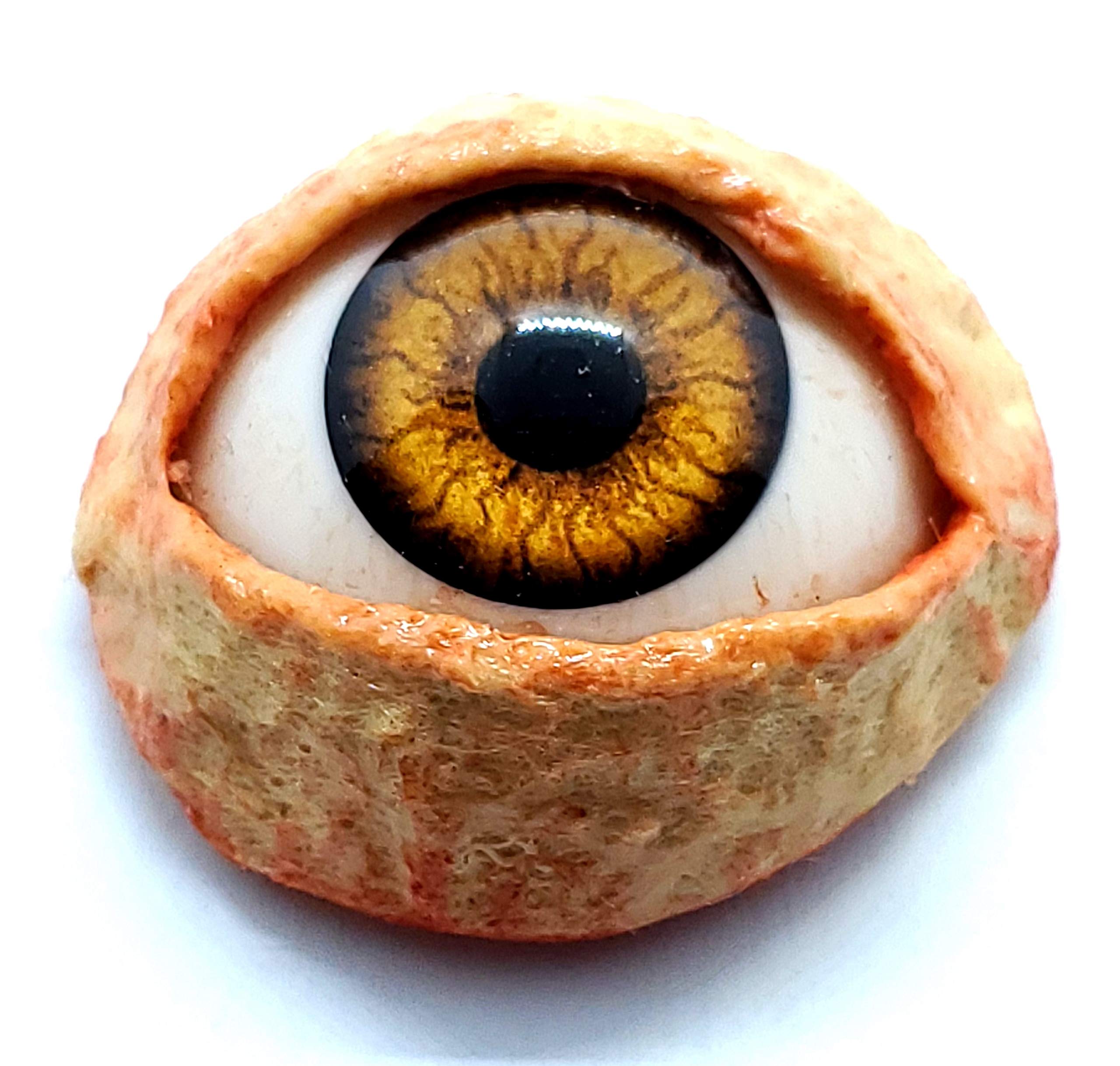 Realistic Life Size Acrylic Eye Dot for Halloween Props, Masks, Dolls, Crafts, Jewelry 1.25