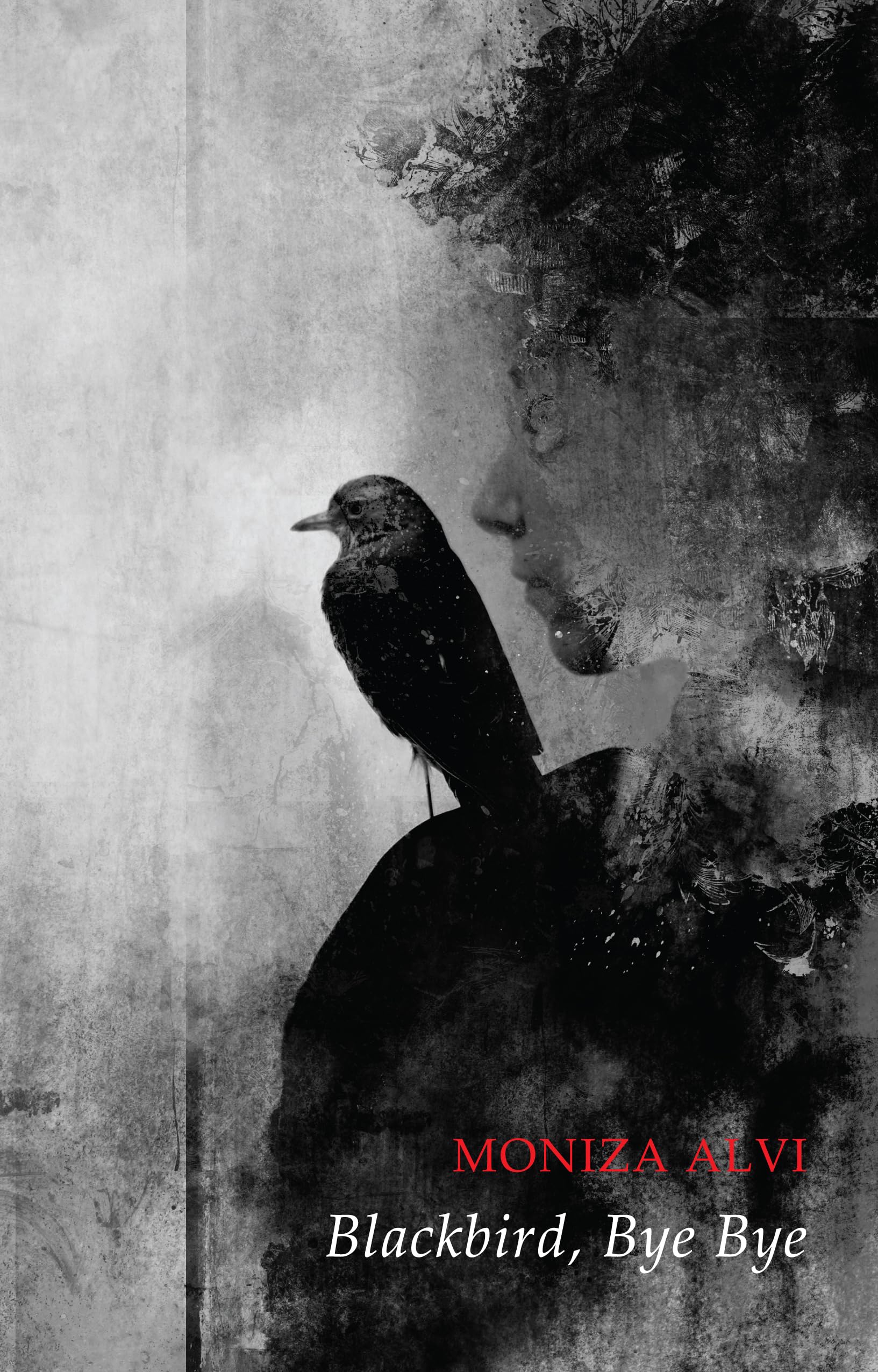 Blackbird, Bye Bye by Alvi  New 9781780374222 Fast Free Shipping^*