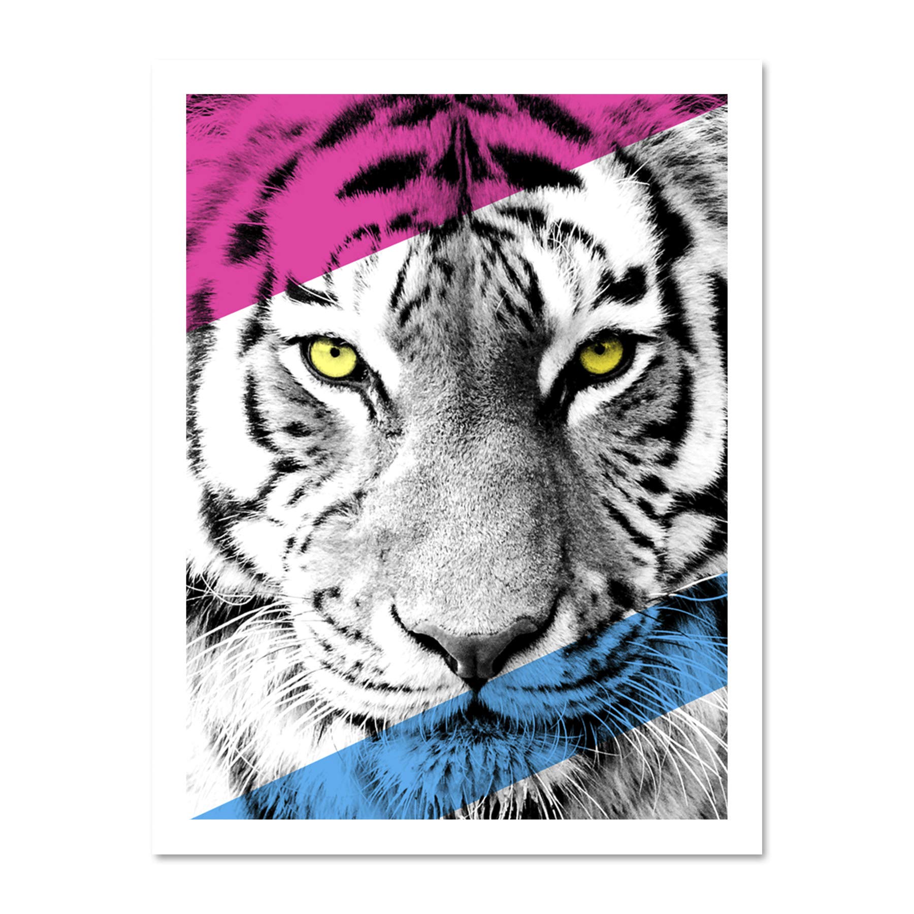 Wee Blue Coo Contemporary Bold CMYK Tiger Large Framed Art Print Wall Poster 18x24 inch