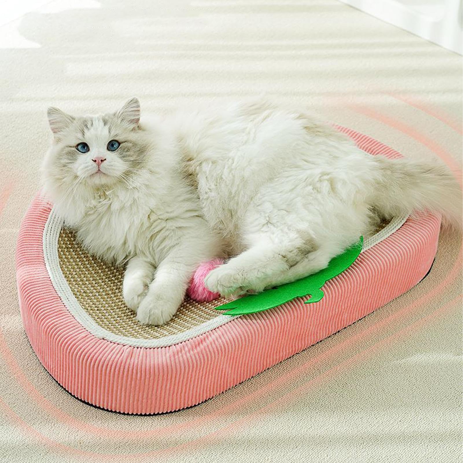 Lit griffoir pour chat – Coussin griffoir en sisal pour petit chien, , porte, canapé, appartement, dortoir, chaise