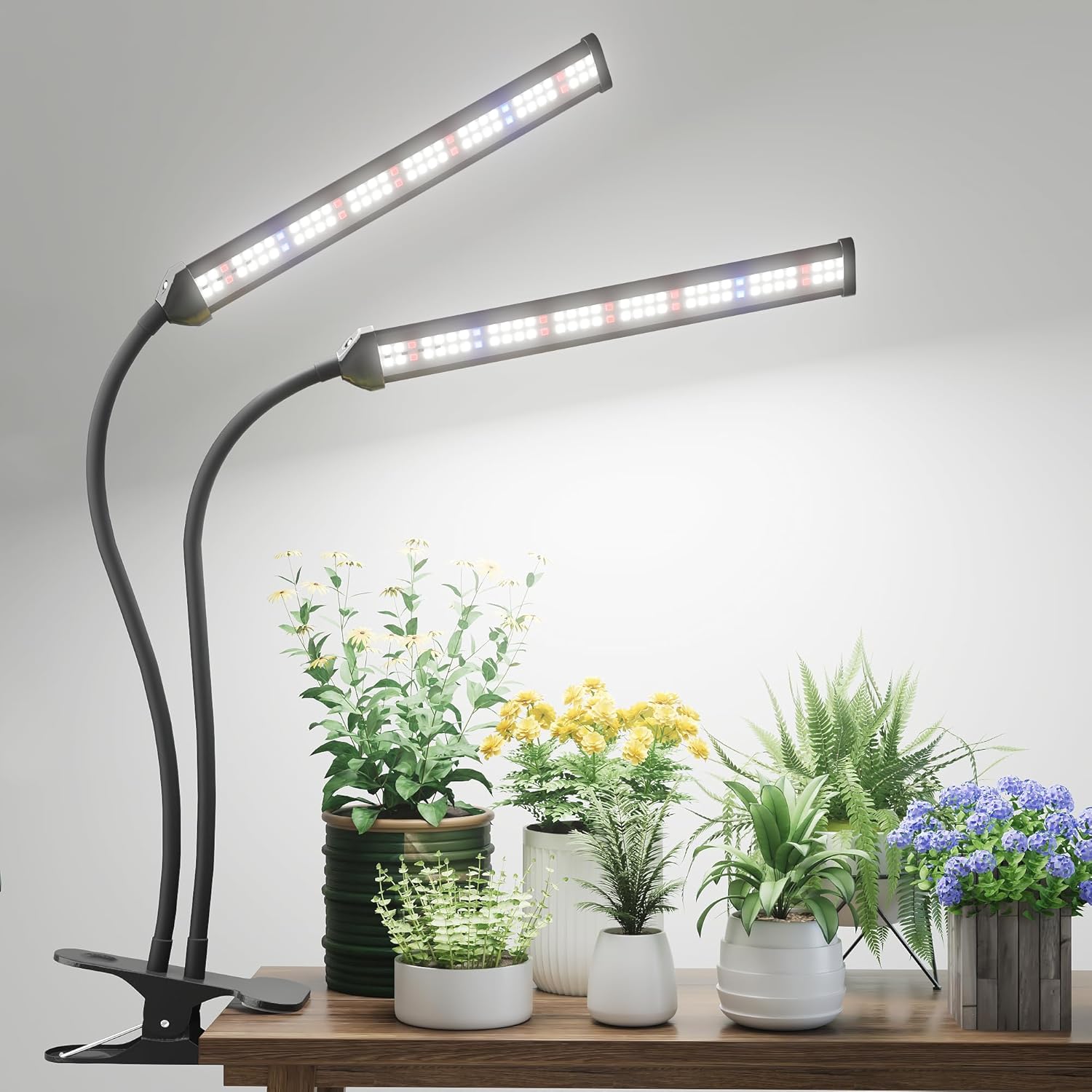 GooingTop Grow Light LED Gooseneck Lamp,Dual-Head White Full Spectrum 148 LED Plant Lamp with Red Blue Light Clip-on Desk for Indoor Plants Growing,Diming & Auto Timer XX-Large