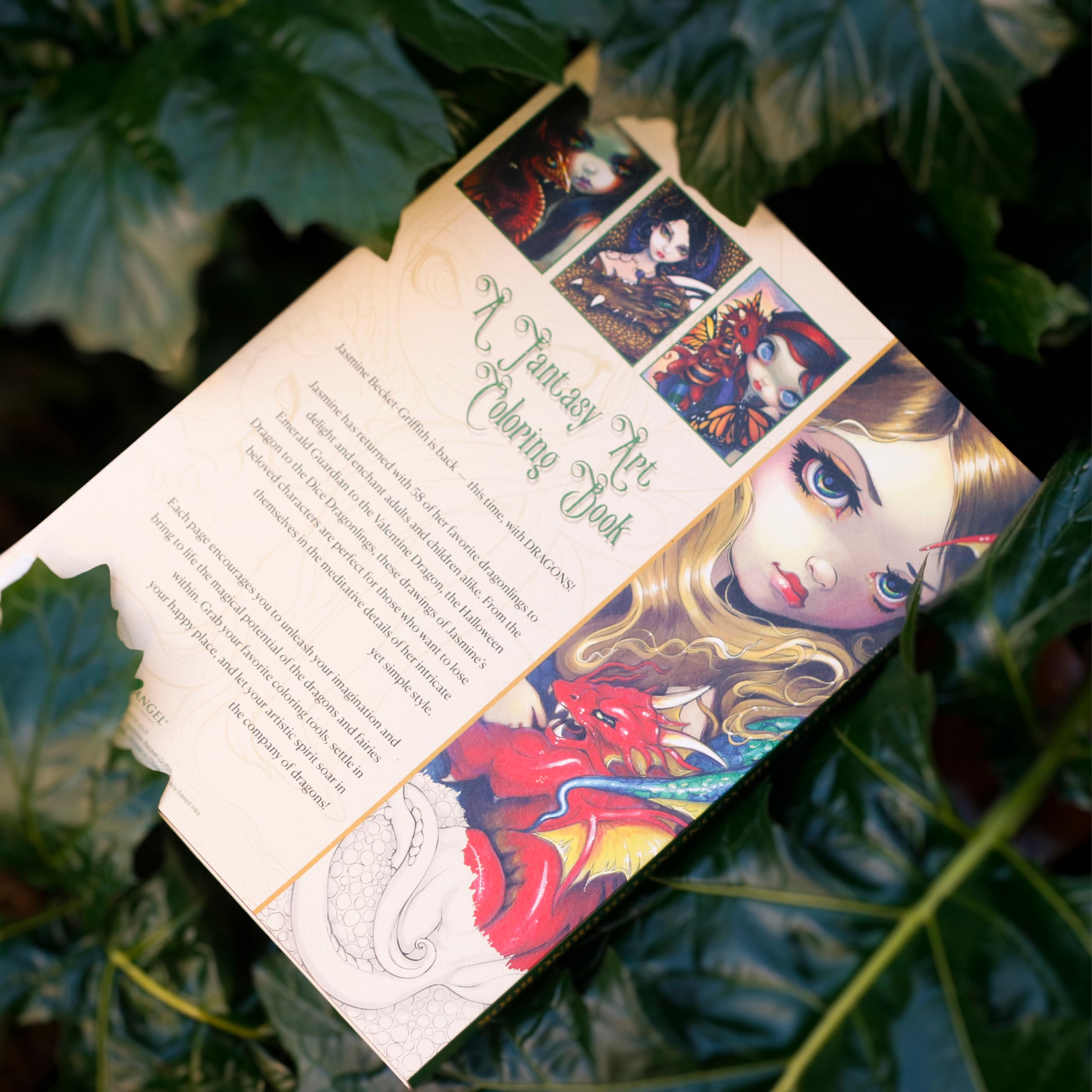 Dragonling Coloring Book