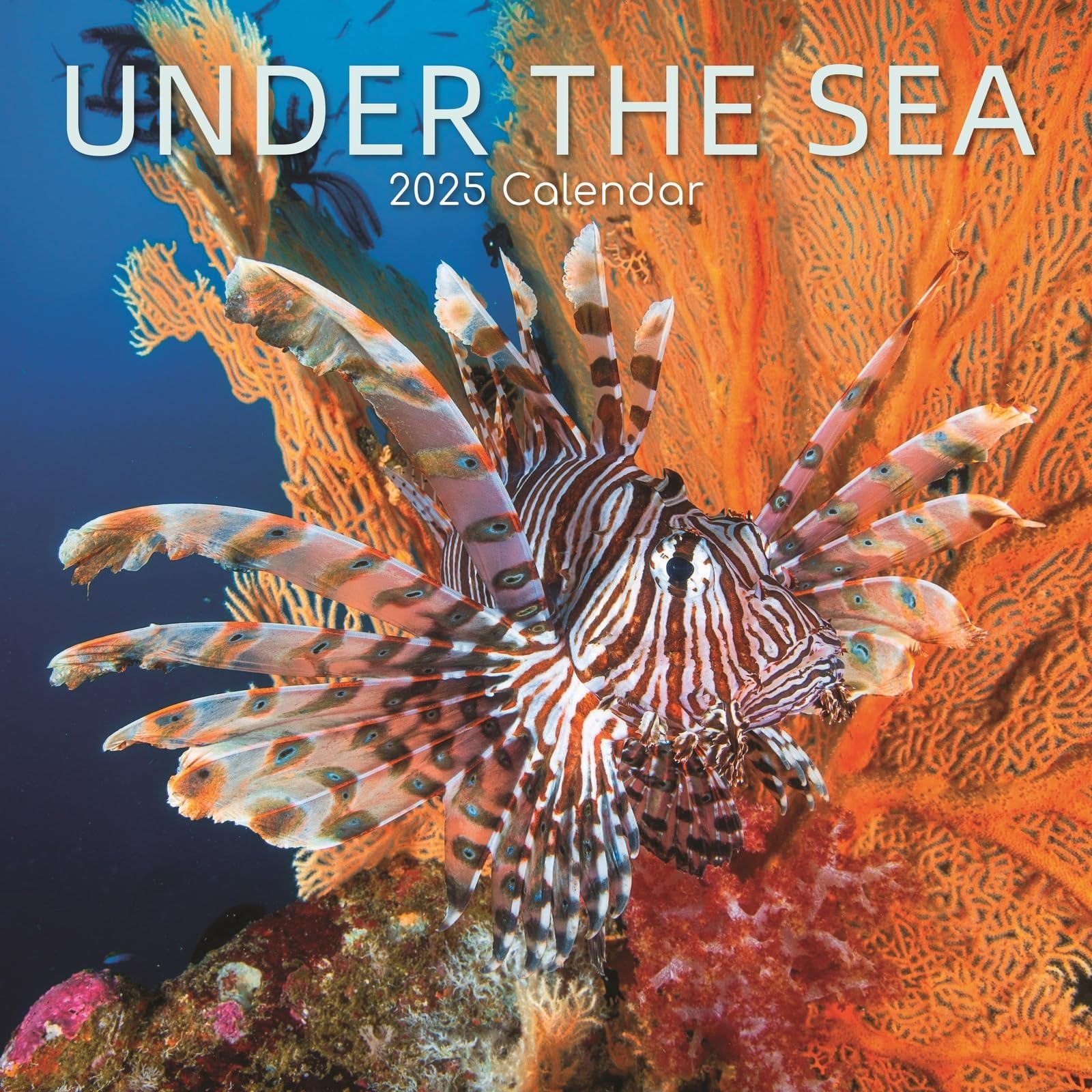 African American Expressions 2024 Wall Calendars Monthly