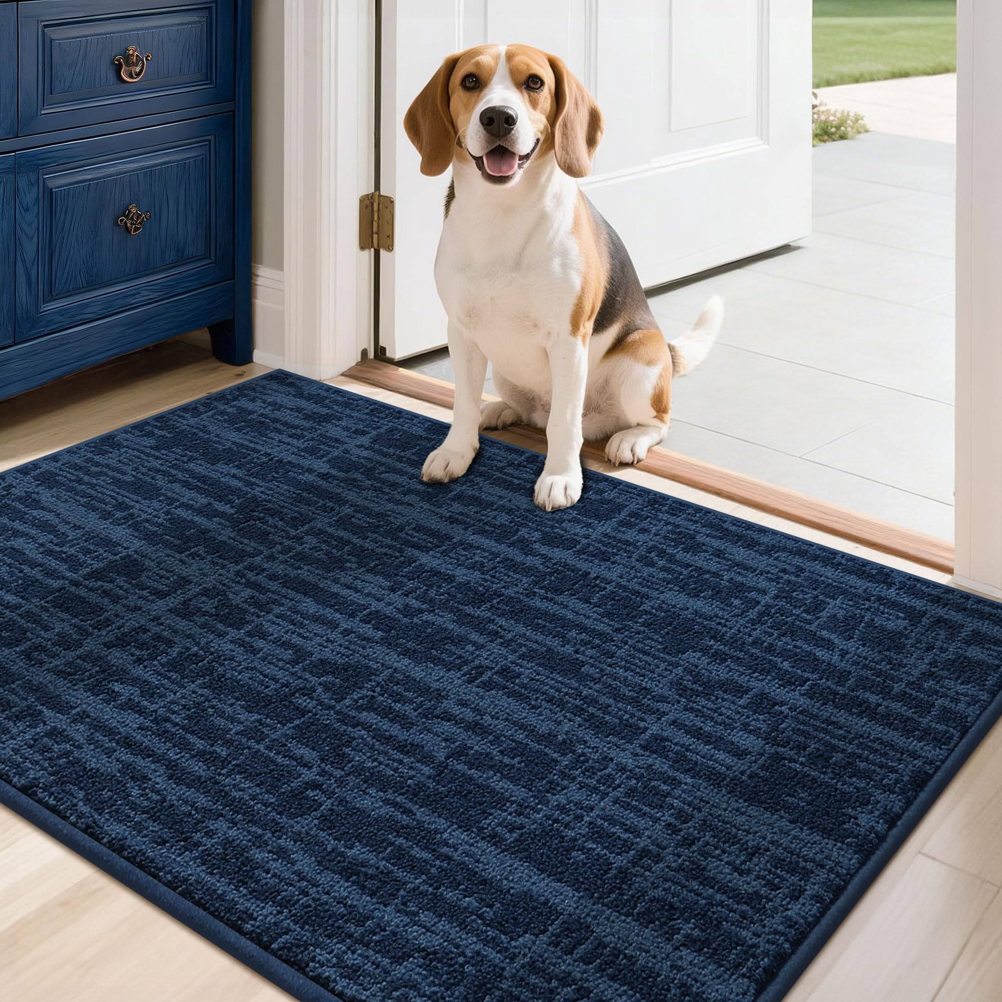 COSY HOMEER-Door-Mat Dirt Trapper Entryway Rugs 24"x36" Non Slip Washable Entrance Mats Absorbent Welcome Mat Low Profile Dog Door Mats for Front Back