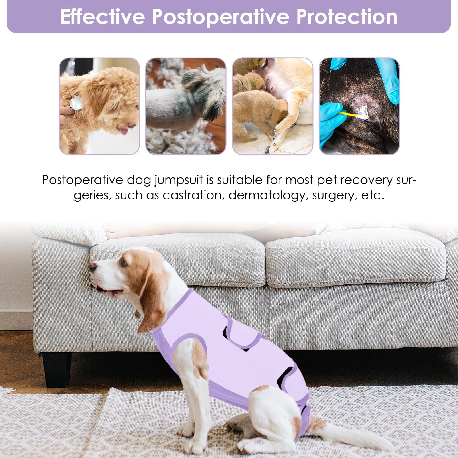 ASENKU Body Post Operatorio Cane Femmina Tutina Recupero Cane per Ferite Pigiama per Cani Protezione Postoperatoria Vestito Cane Colletto Alternativo Dopo l'intervento Chirurgico