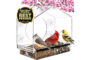 Gray Bunny Window Bird Feeder with Strong Suction Cups - Squirrel Proof...