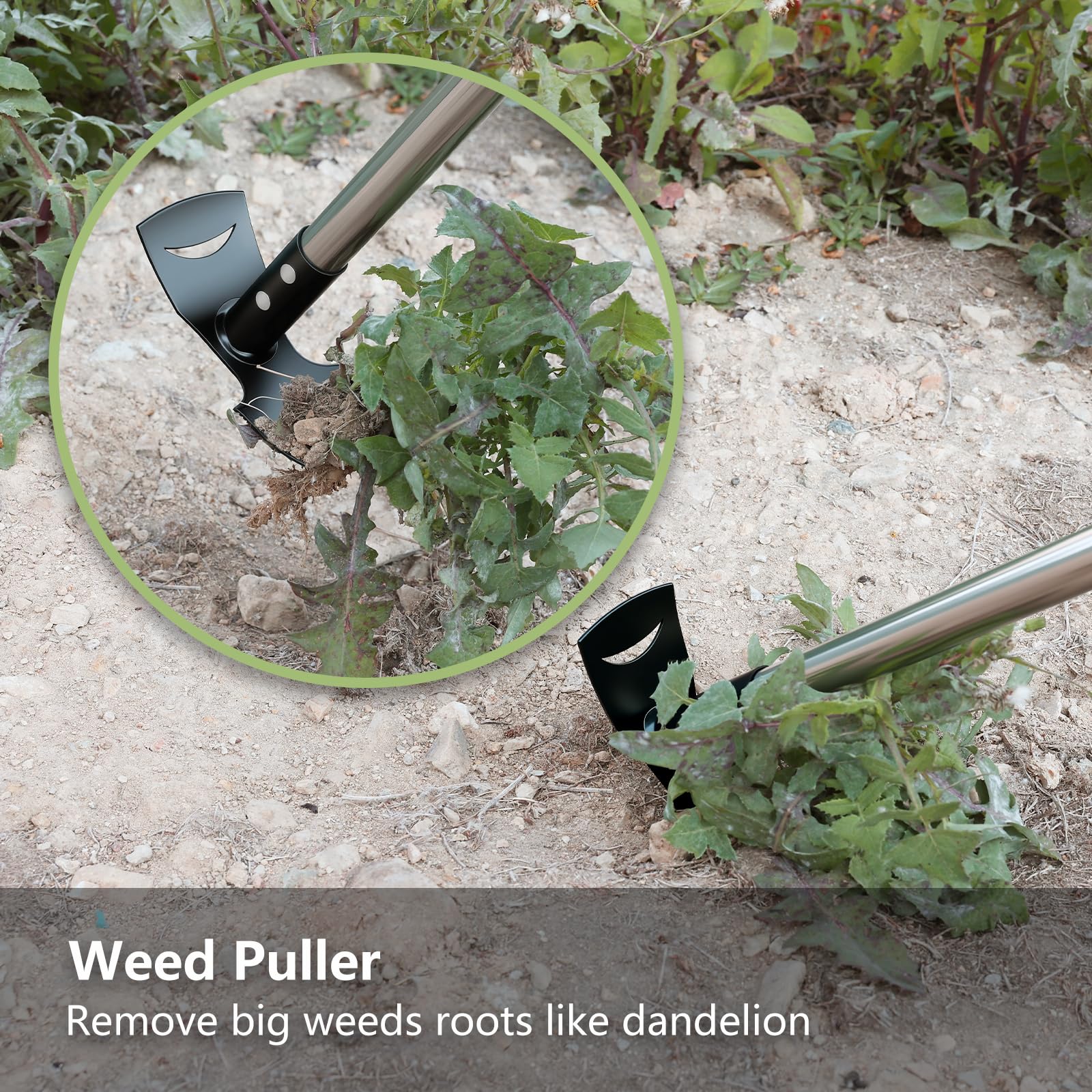 Mitclear Weed Puller Tool with Long Handle(58IN), 2-in-1 Gardening Hand Tools Weeds Remover, Weeder Rake & Garden Hoe Combo, Manual Weeding Puller Tool for Garden Yard Patio Lawn — view 6