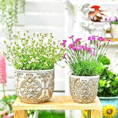 Miniatura 1 de Sungmor Macetas decorativas de cemento para plantas, macetas europeas únicas de concreto en relieve, juego de 2 piezas de 4.3 y 6.1 pulgadas,