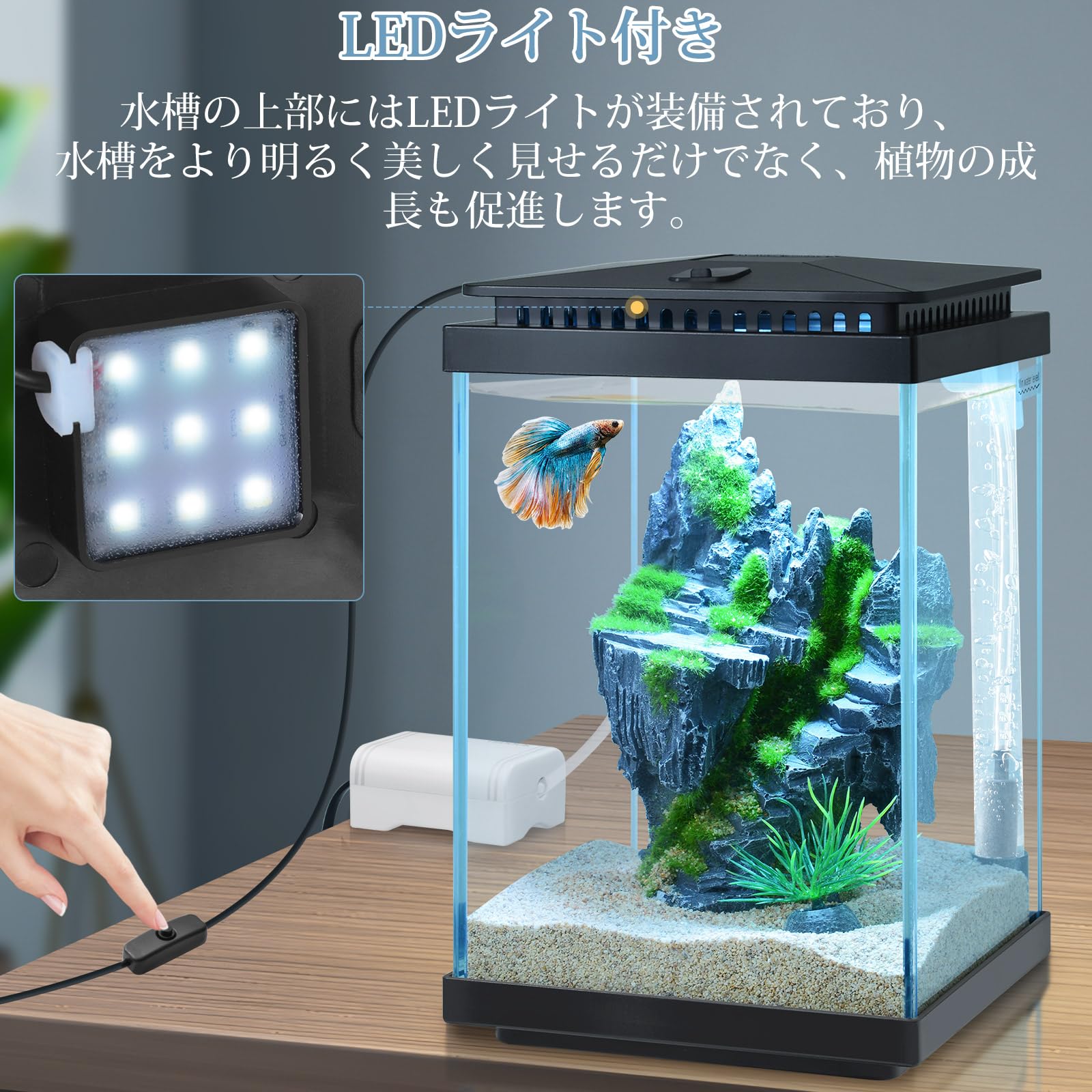 Amazon | FEDOUR 5L小型ガラス水槽、静かな透明アクアリウム、LED 