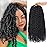 Leeven 8 Packs Pre twisted Passion Twist Crochet Hair for Black Women 12 Inch Synthetic Natural Black Passion Twist Hair With Curly Ends Pre-looped Goddess Passion Twists Braiding hair Extensions 1B