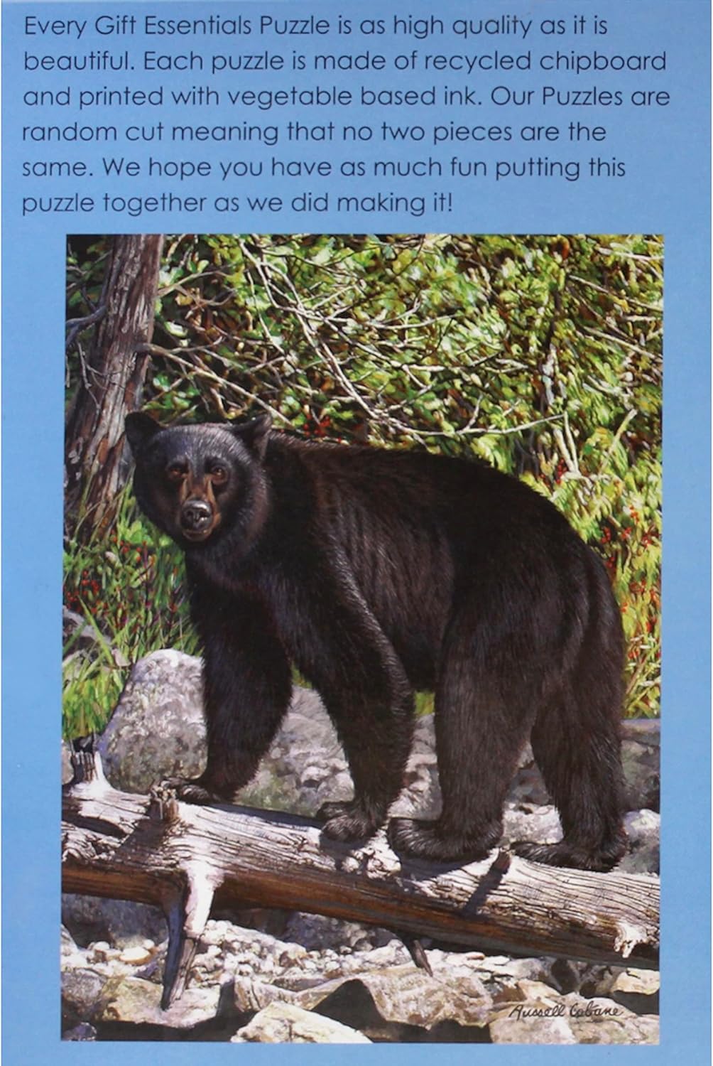 Gift Essentials 1000 Piece Puzzle - Black Bear in The Wild - Jigsaw Puzzle for Adults and Teens